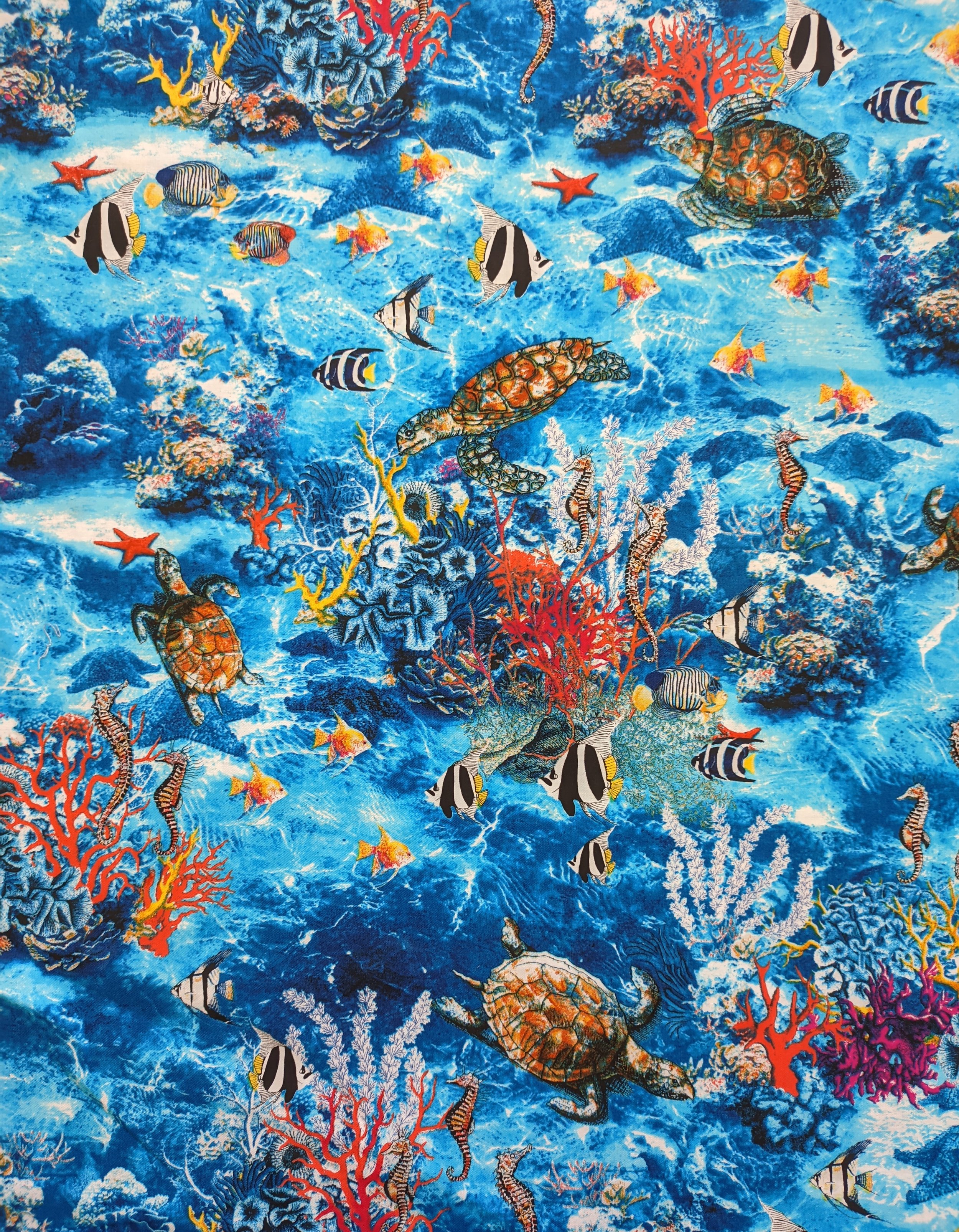 patchgraci-oceanadventure-.jpg