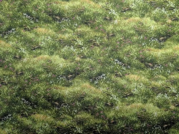 130024 ELEMENTOS - HIERBA