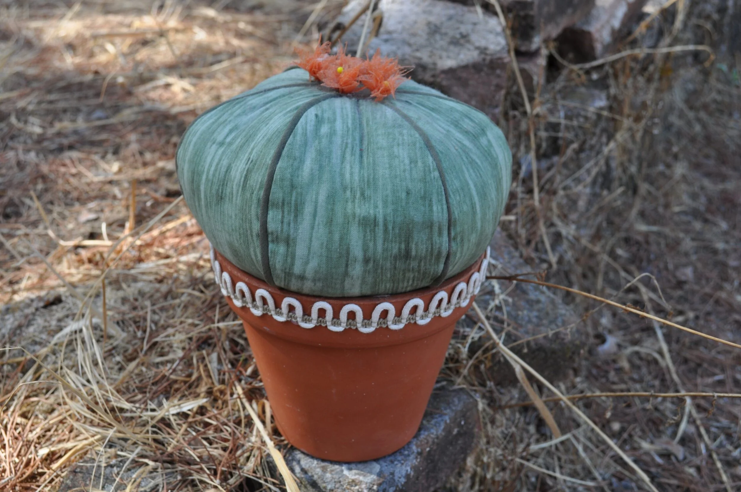 COMPLEMENTOS CACTUS CORONA