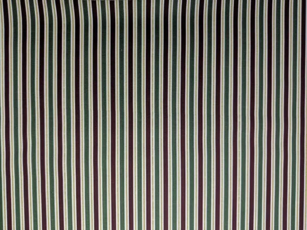 240004 RAYAS DE COLORES