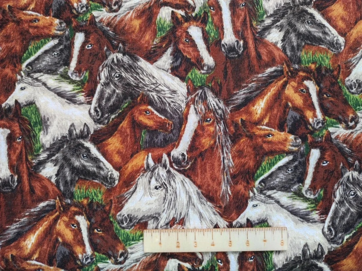 CABALLOS