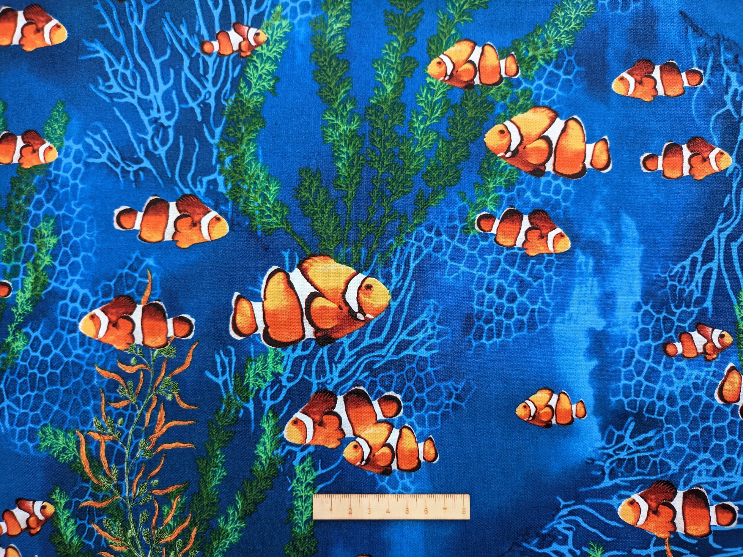 patchgraci-pezpayaso-oceanadventure-.jpg