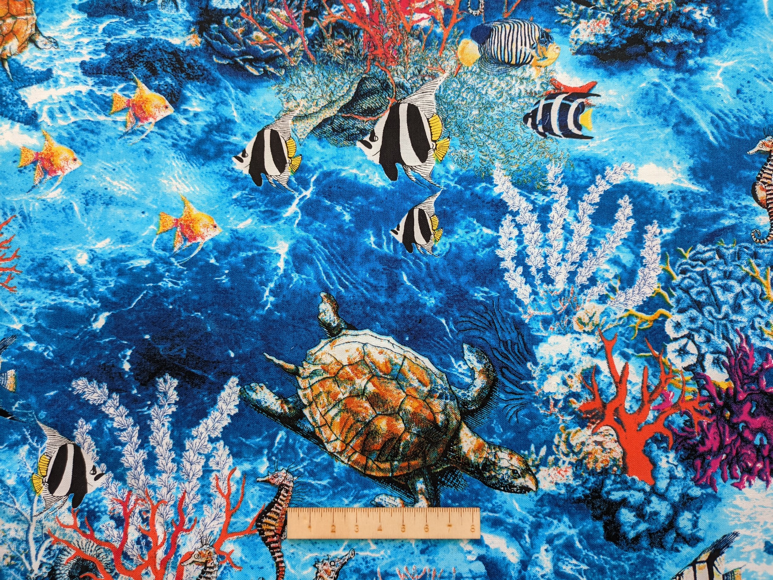 patchgraci-oceanadventure.jpg