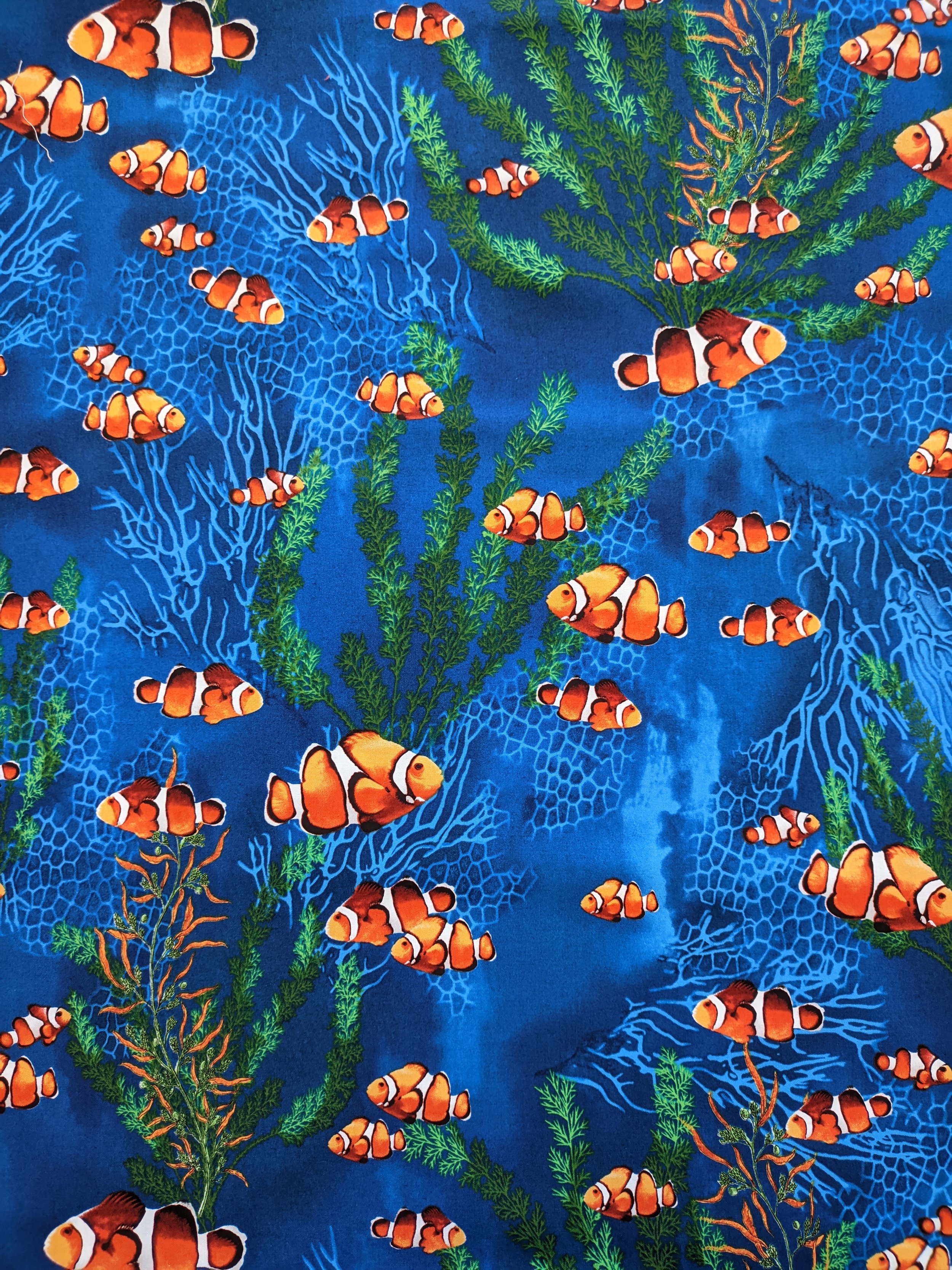 patchgraci-pezpayaso-oceanadventure.jpg