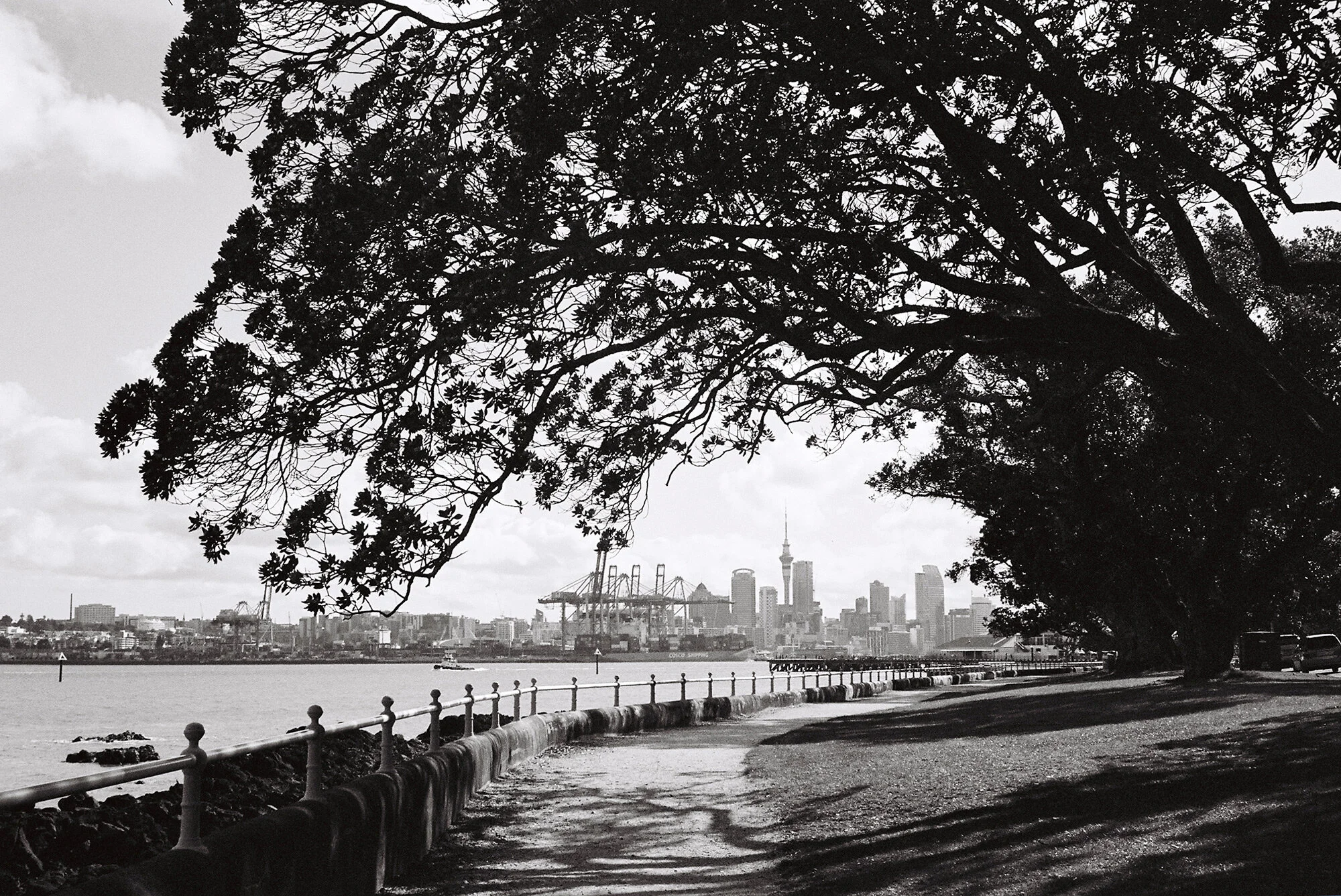 Auckland from Devo.jpg