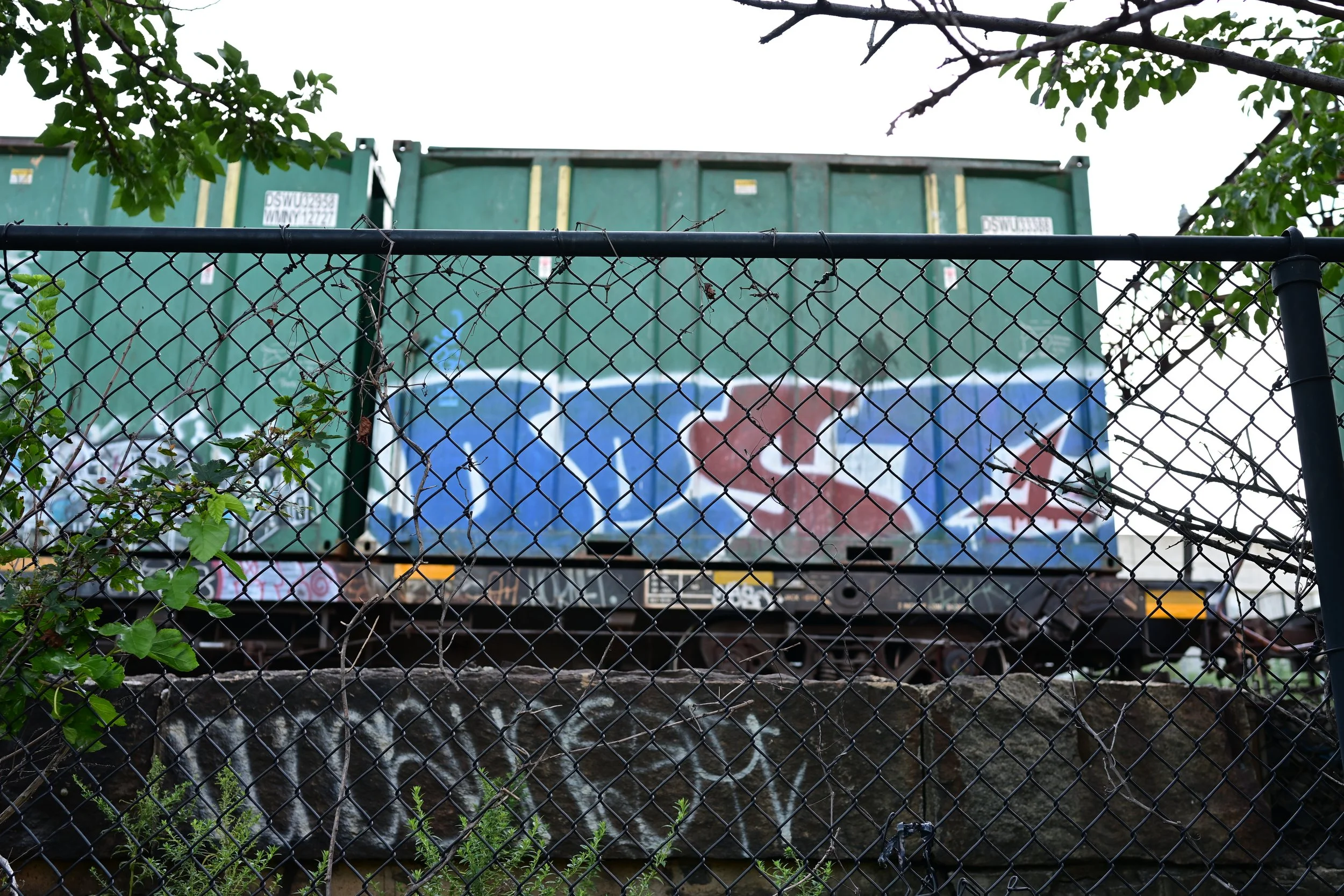 DSC_4691.JPG