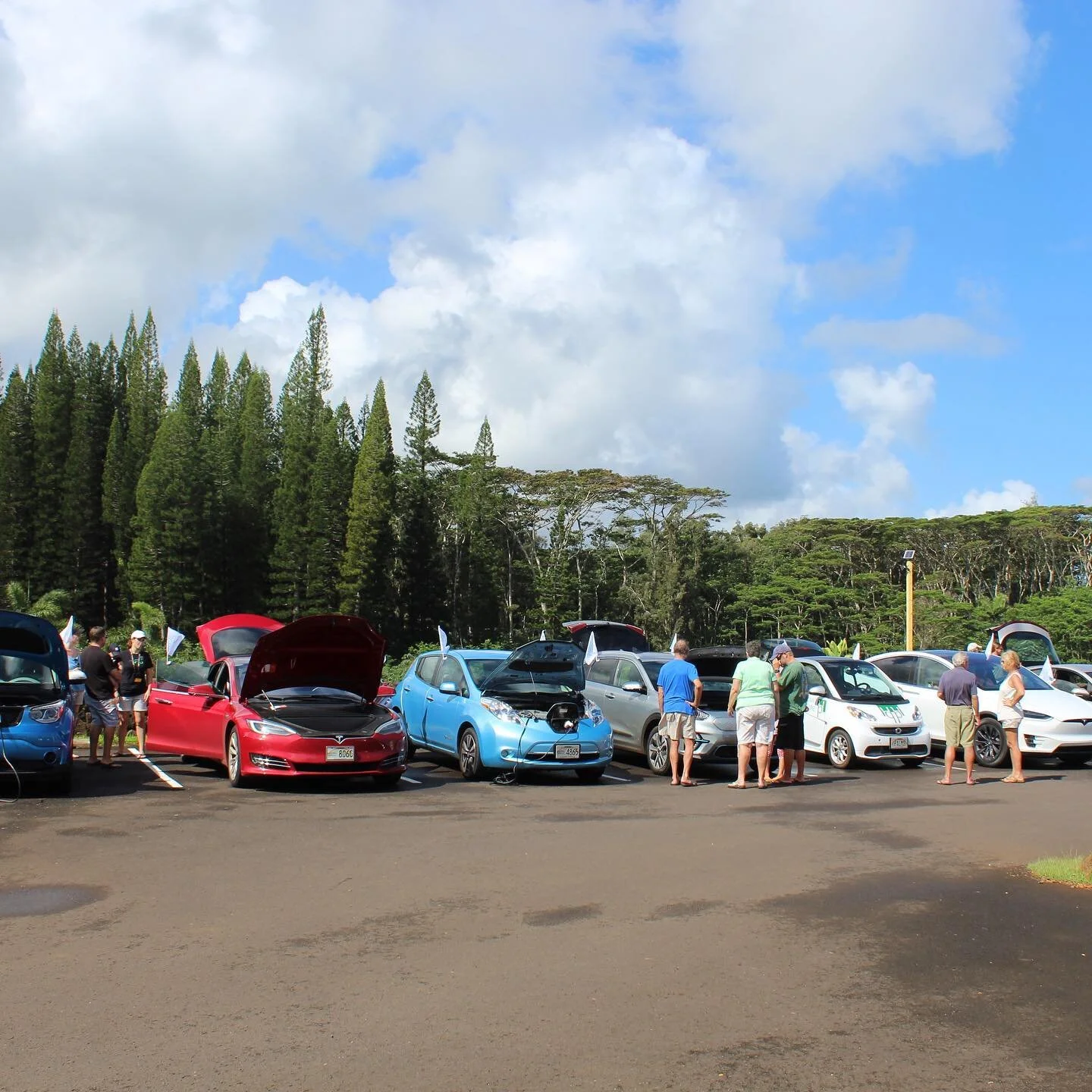 About — Hawaii Electric Vehicle Association