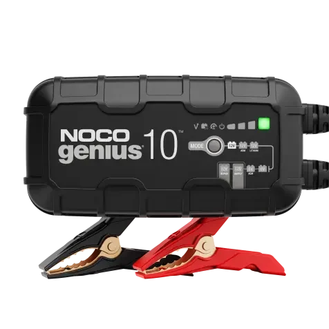 genius10_nocogenius.webp
