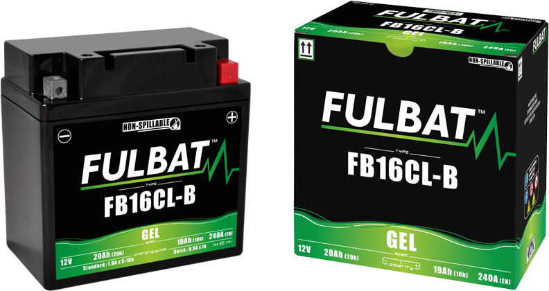 Fulbat_GEL_FB16CL-B2.png