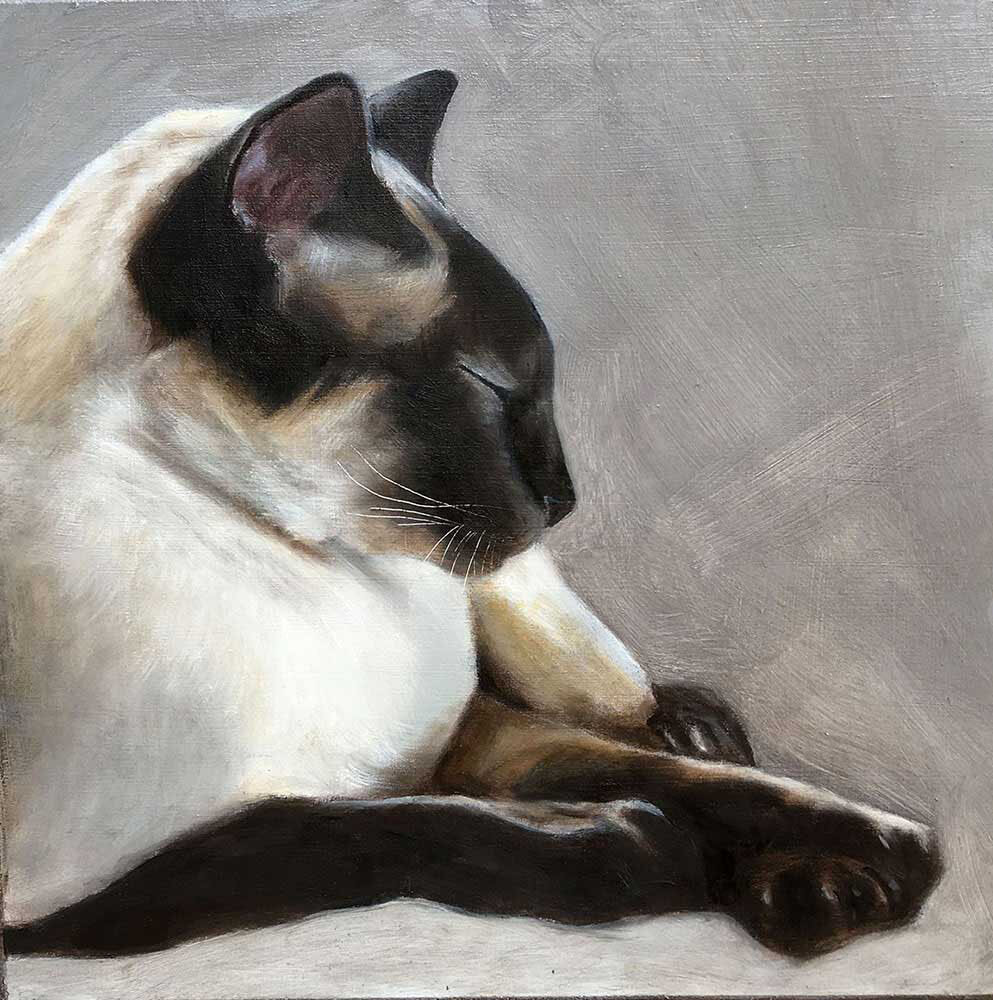 gwen-bell-taking-it-easy-cats-siamese-animals-oil-paintings-dallas-artist.jpg