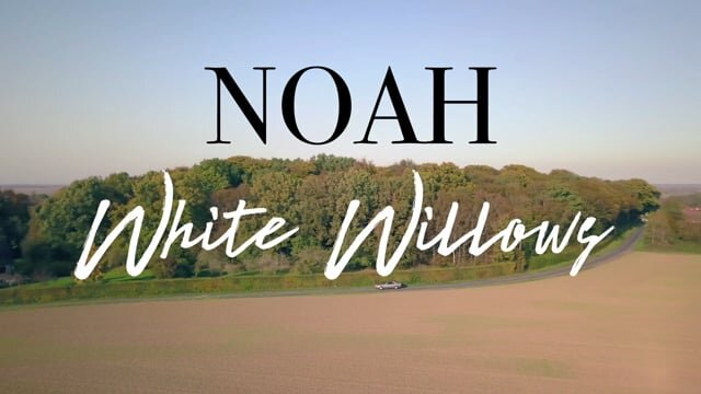 White Willows - Noah (Amber Run Cover)