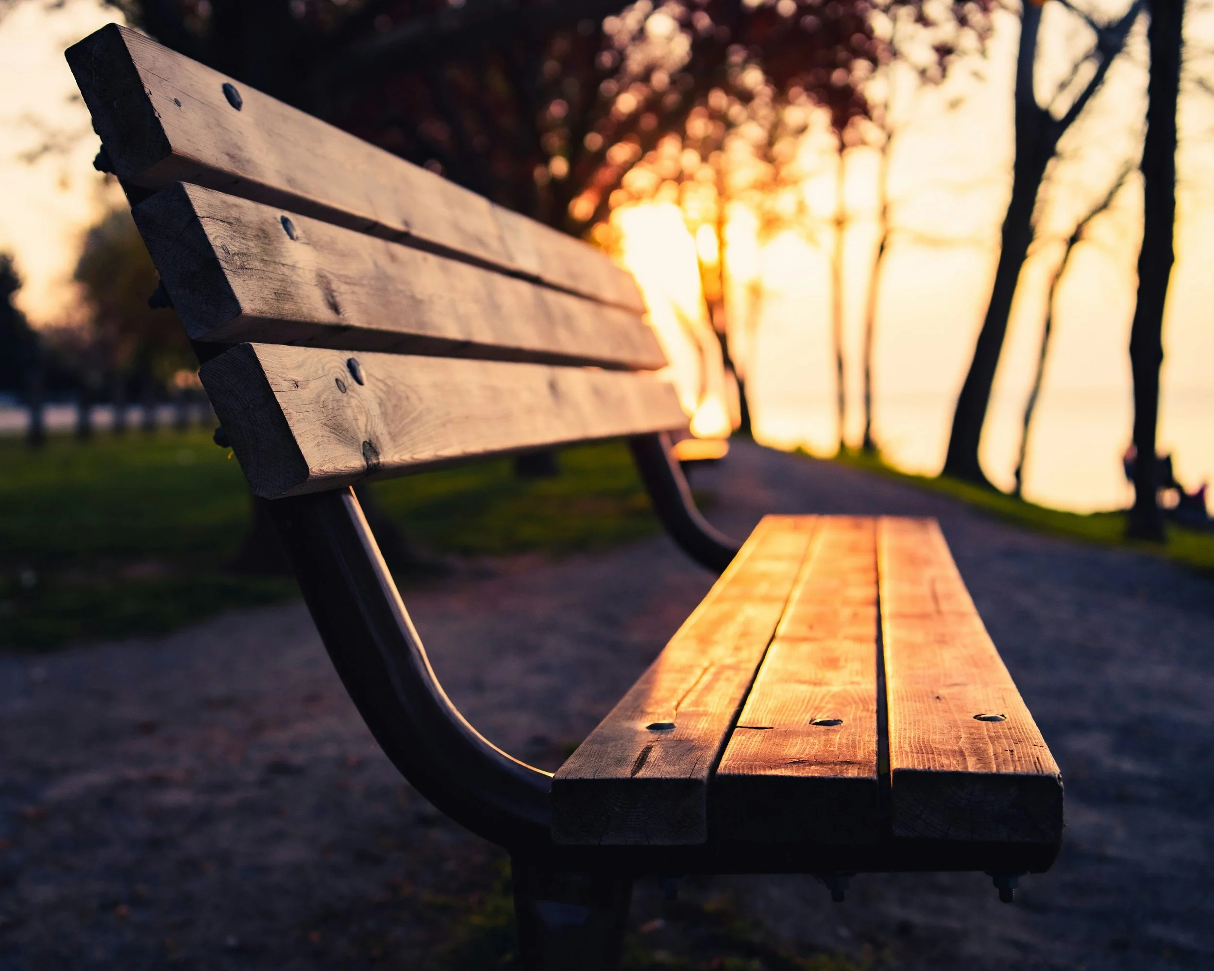 Garden bench at sunset