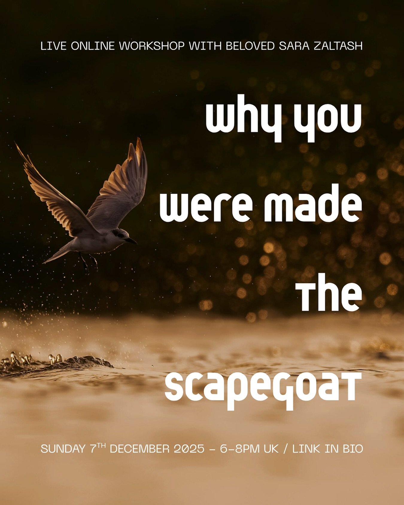 Scapegoating is everywhere.
In families. In friendships. In workplaces. In activist circles. In spiritual communities.
Even at the level of nations and global politics, the same ancient pattern repeats:
the group holds its unrest, and one person (or 