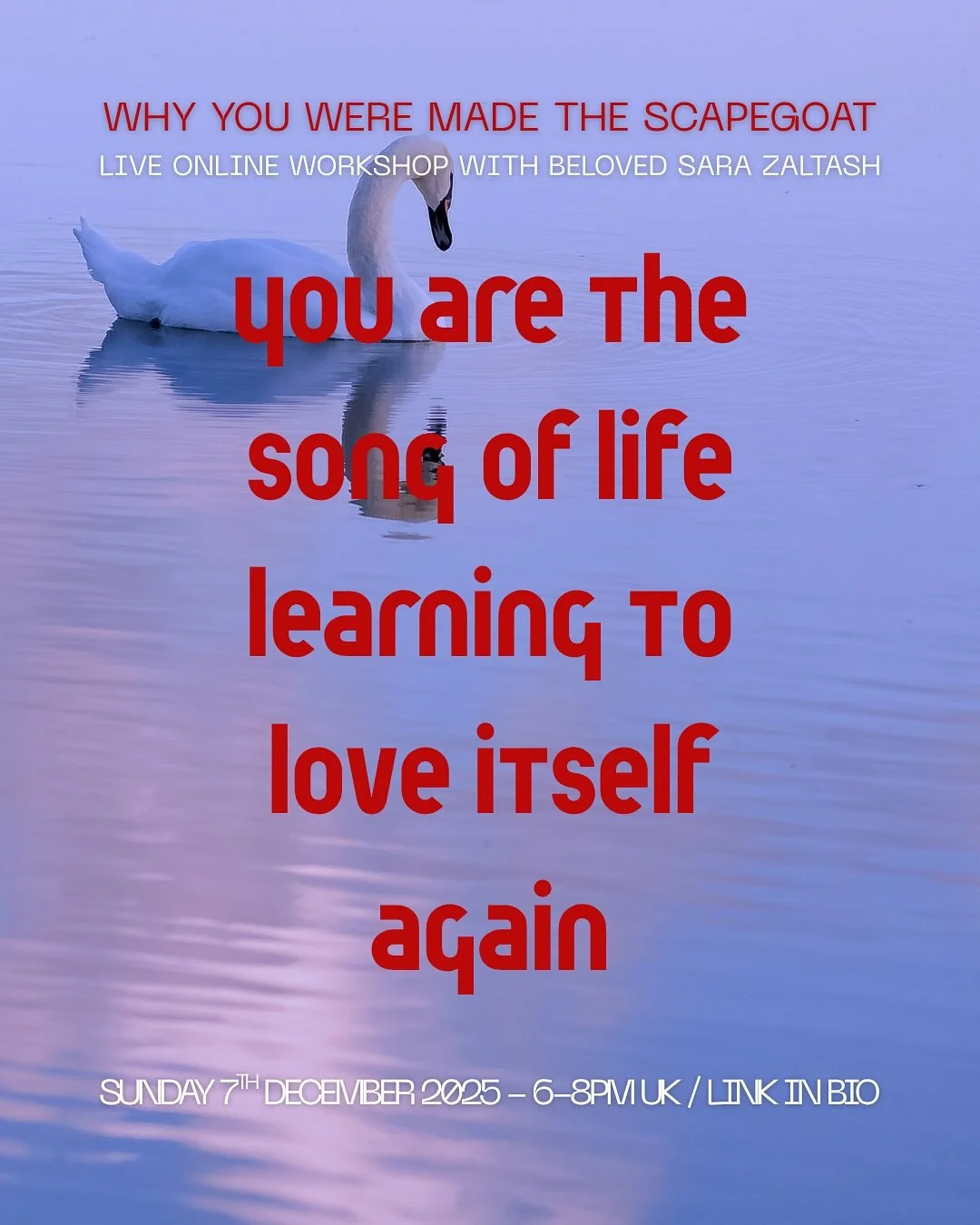 There is a field of healing opening right now.
You can step into it with tenderness, curiosity, and courage.

The astrological moment between now and the December New Moon is ripe for understanding old stories, and beginning to shift them.
If the the