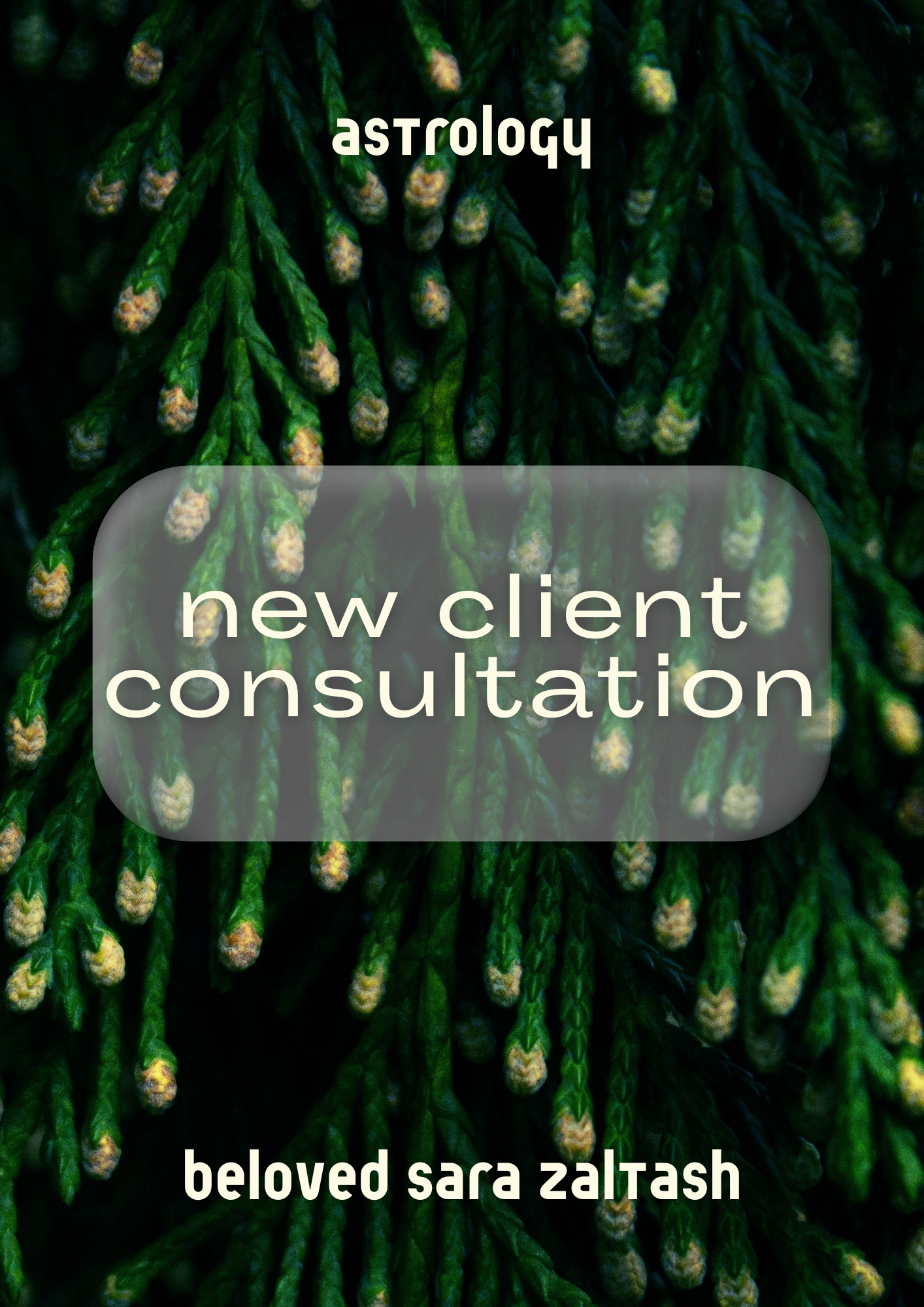 New Client Consultation Call