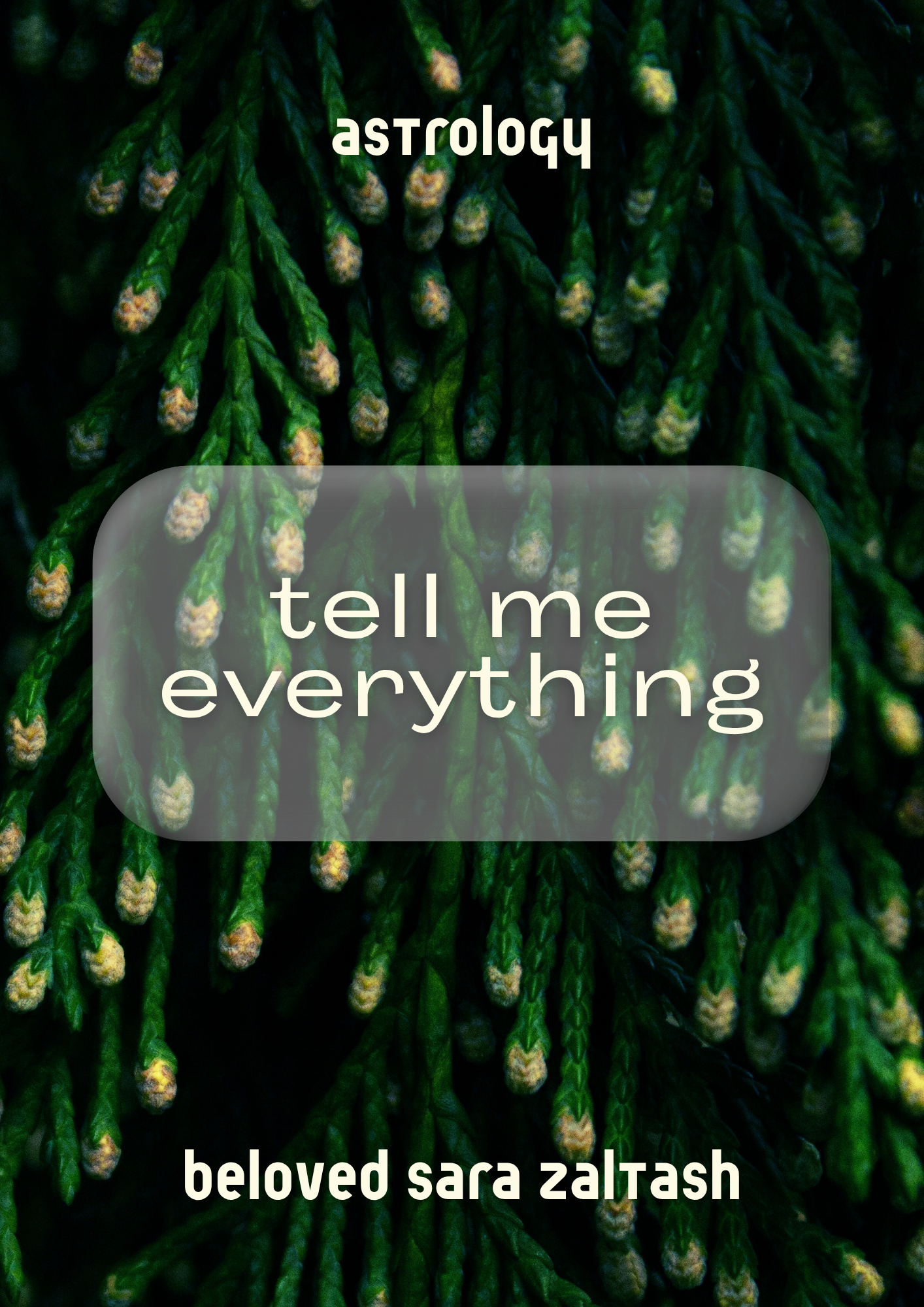 Tell Me Everything