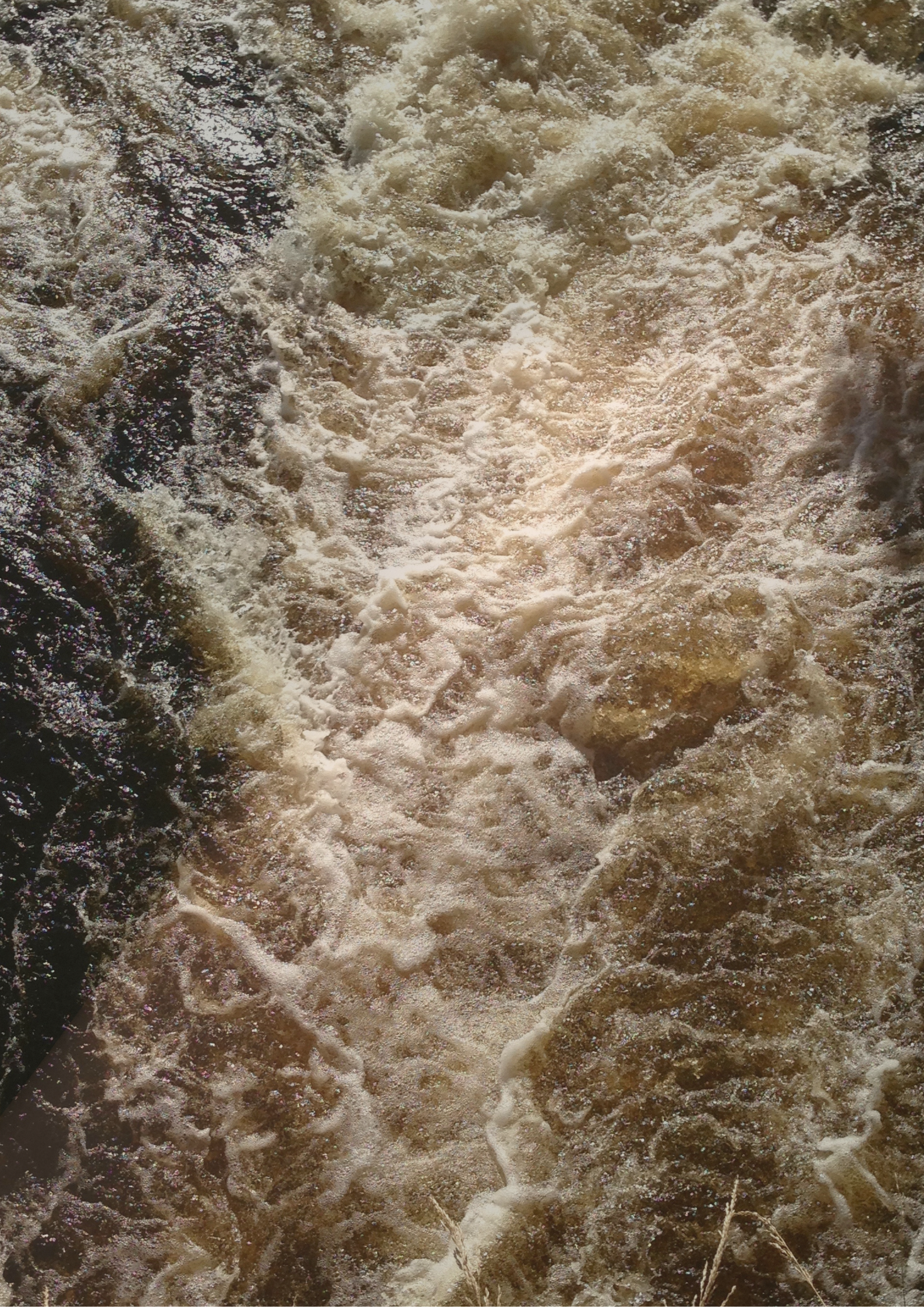 Exile & Return — An astrologically guided six week journey of Belonging, Grief and Rebirth