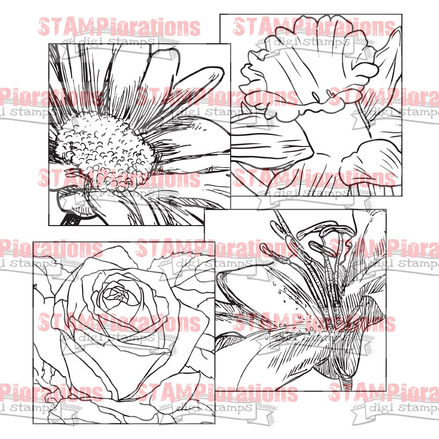 preview-boxedblooms.png