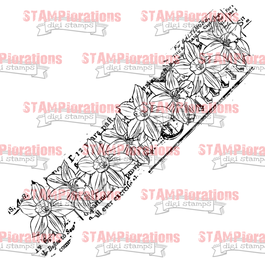 preview-daffodilrow-stamplorations.png