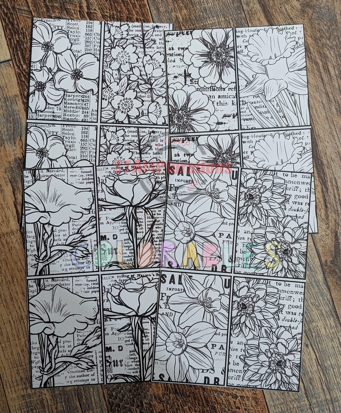 Framed Flowers - Colorables