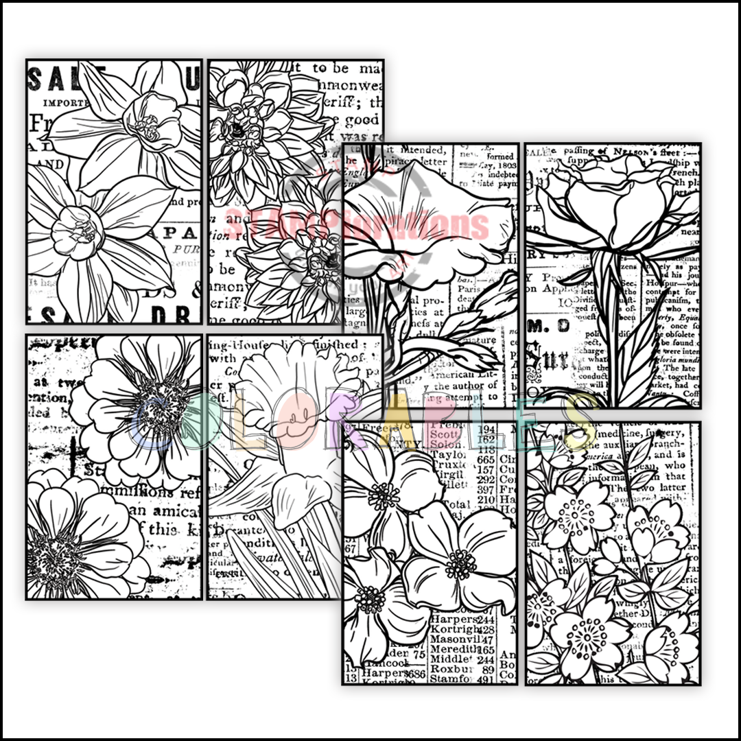 preview-framed-flowers-colorables.png