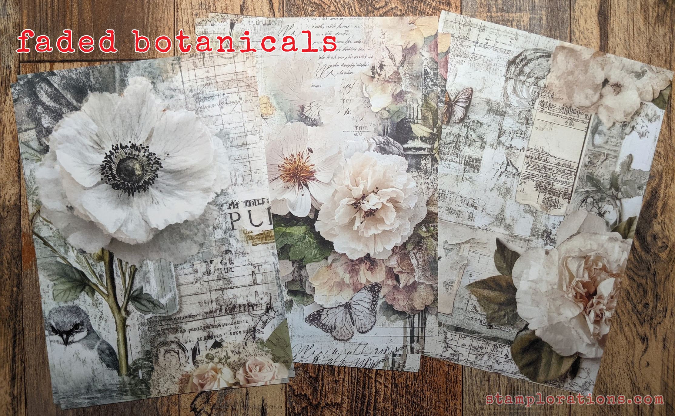 Faded Botanicals - Available starting March 15