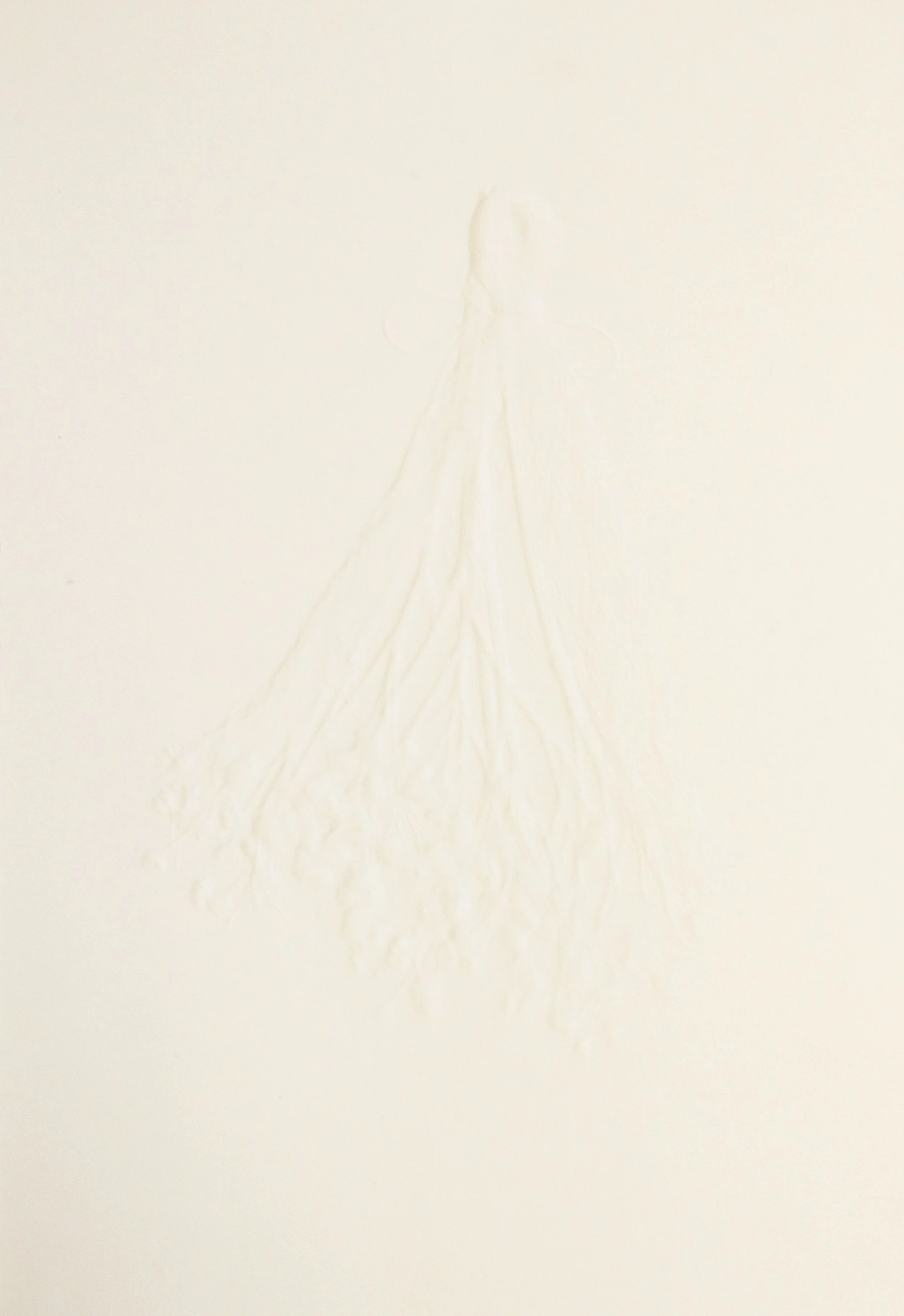 Tassel and flower (emboss), 2025