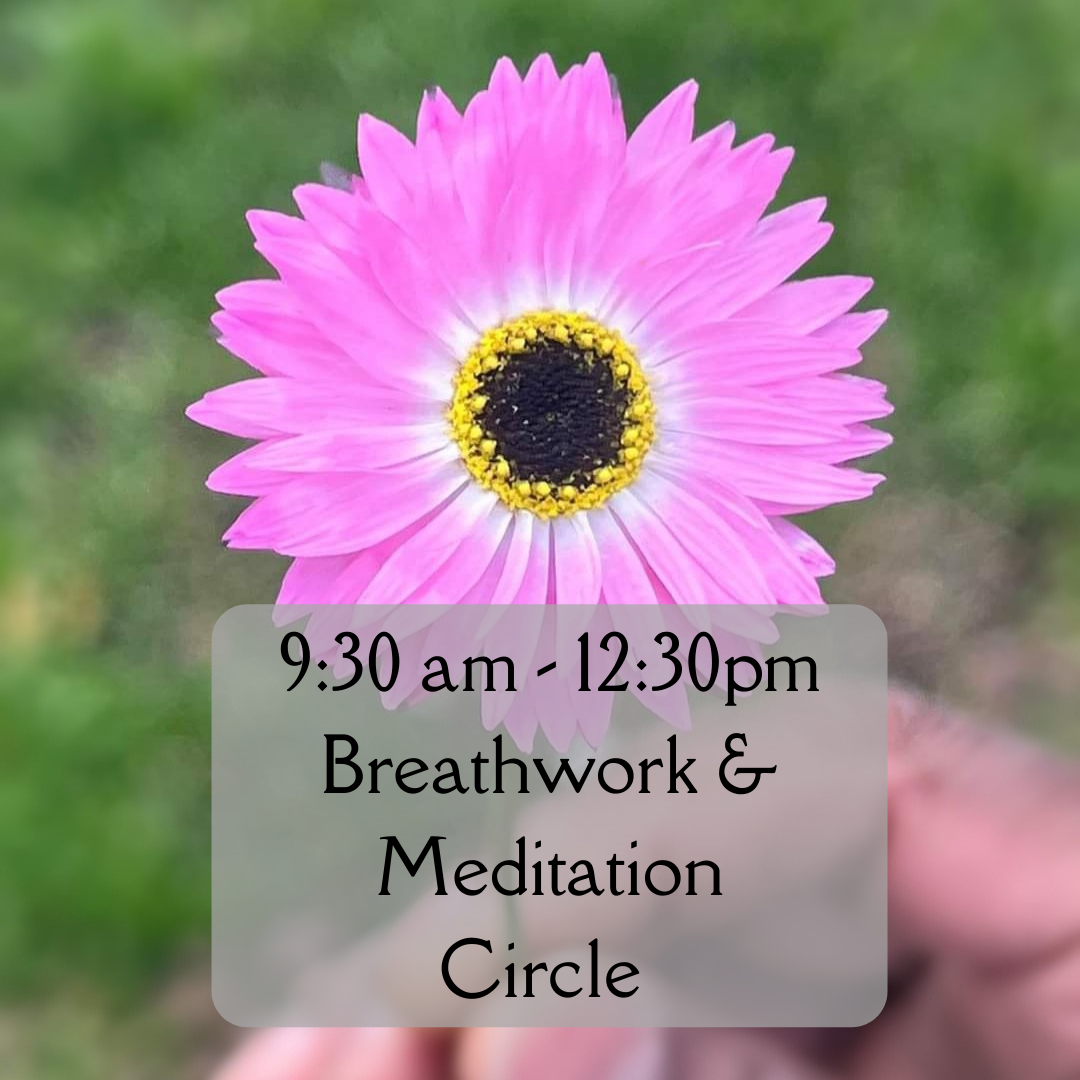 Breathwork and Meditation Circle — Breathwork with Shanie