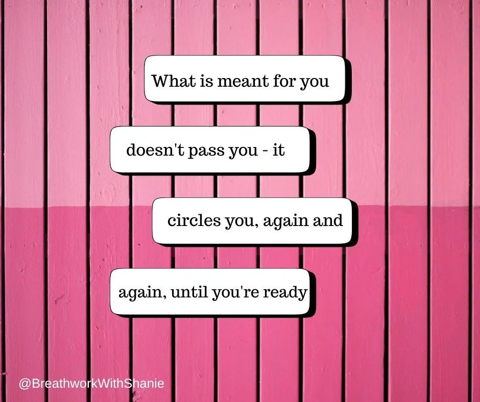 Nothing meant for you is never lost, it circles back when you&rsquo;re ready. 🌸
If you are feeling stuck, breathe - readiness begins there. 

#breathwork #breathe #stuck #getready #perthwellness #perthhealing #perthbreathwork #letitgo #wellness #bea