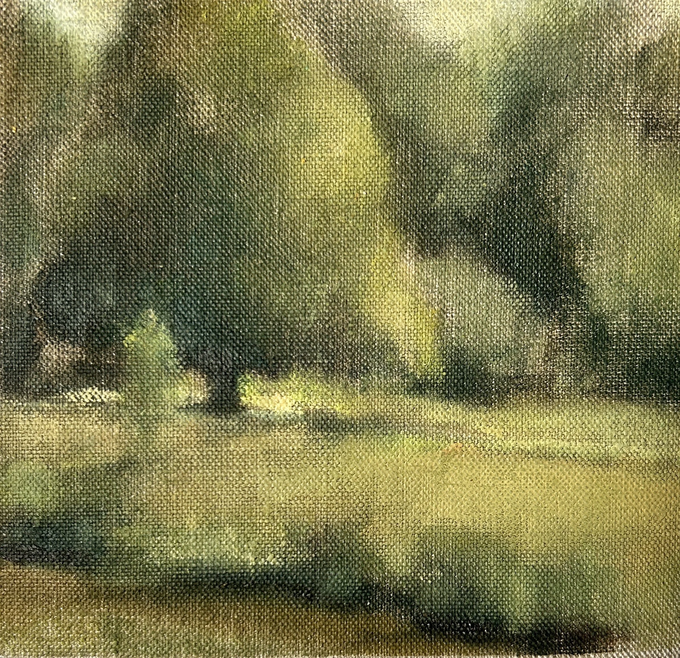 Oak above bathing pond
