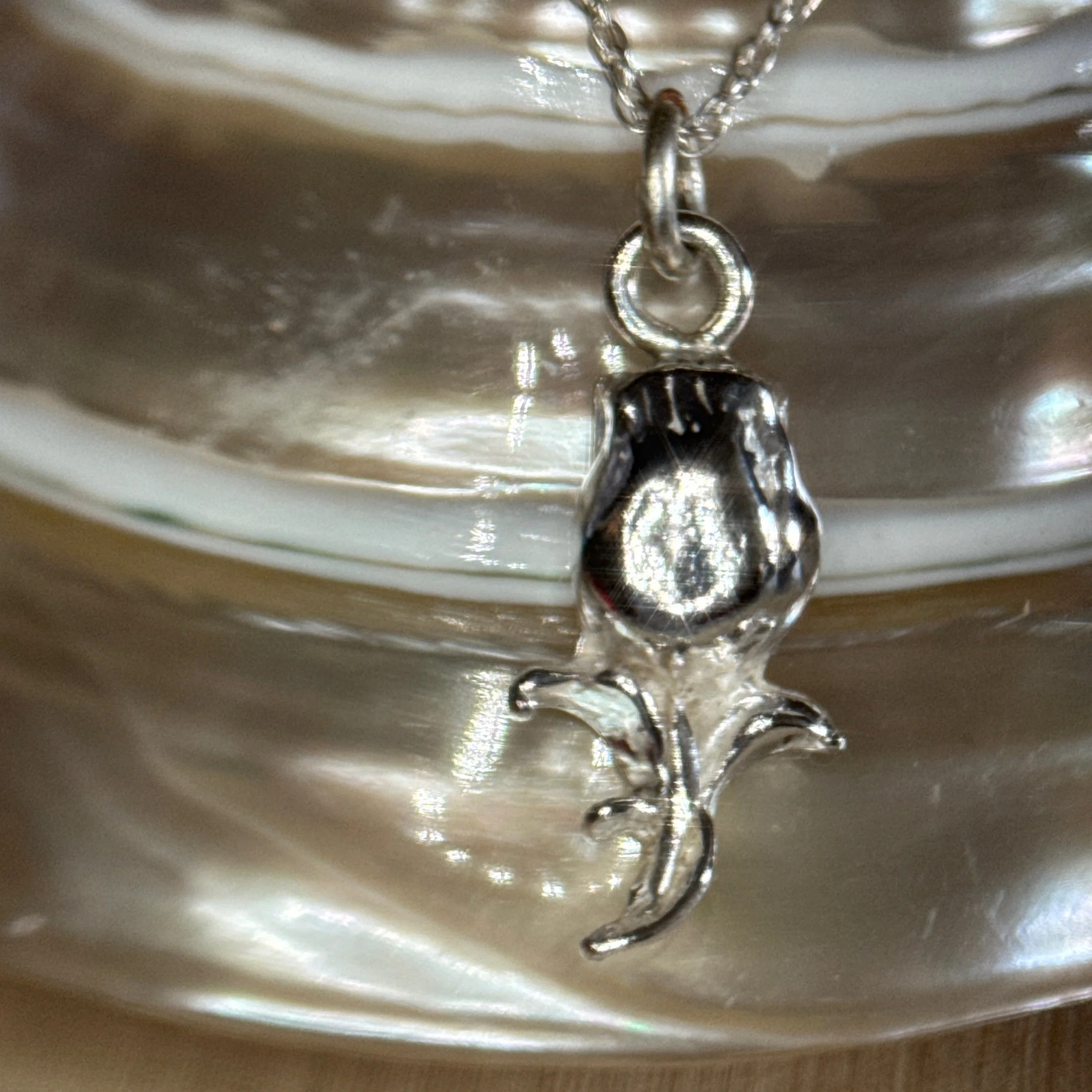 UN-0006_4uebdenx6zx_2026-01-07-11-51-58 (1).jpeg