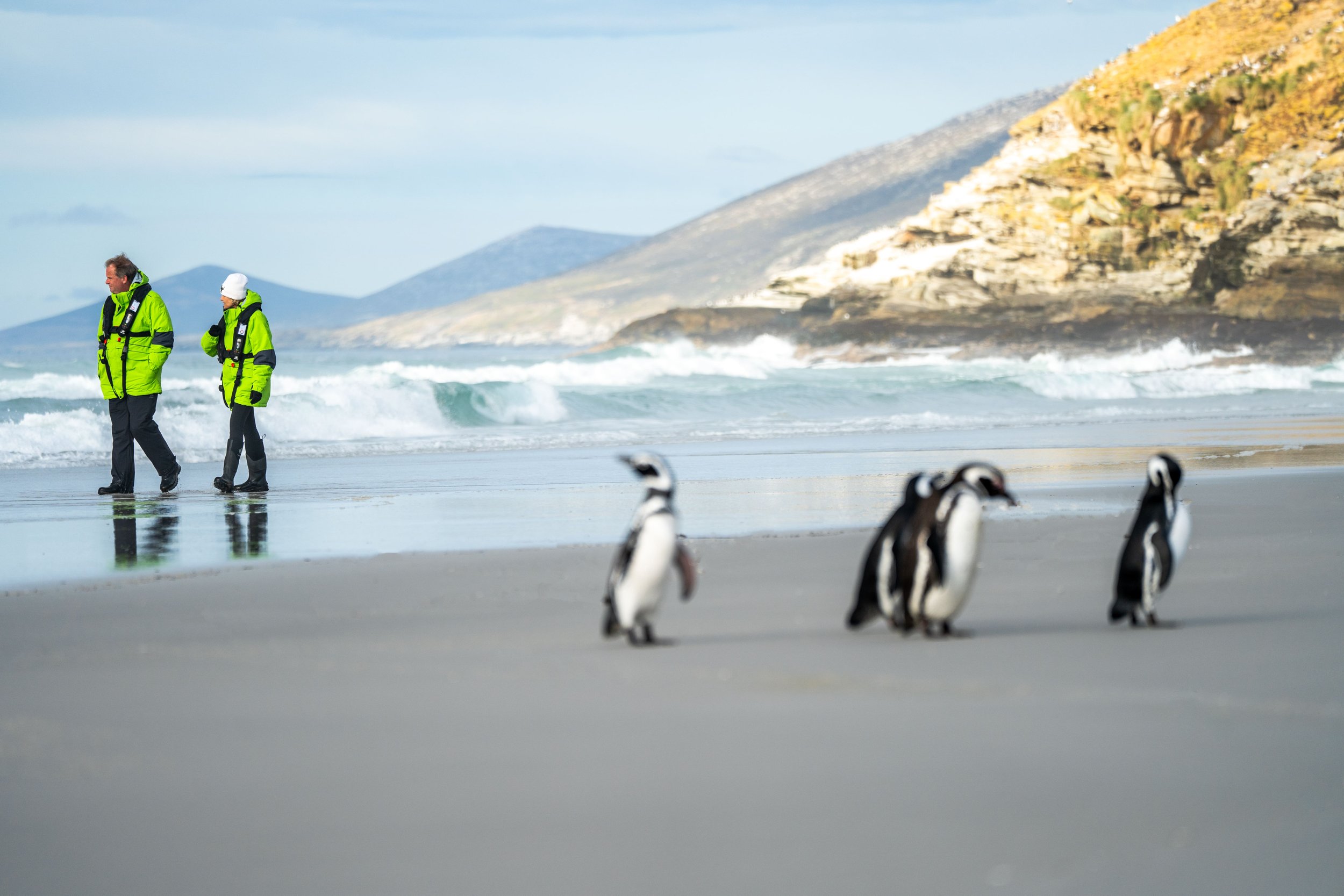 Falkland Islands with Atlas Ocean Voyages