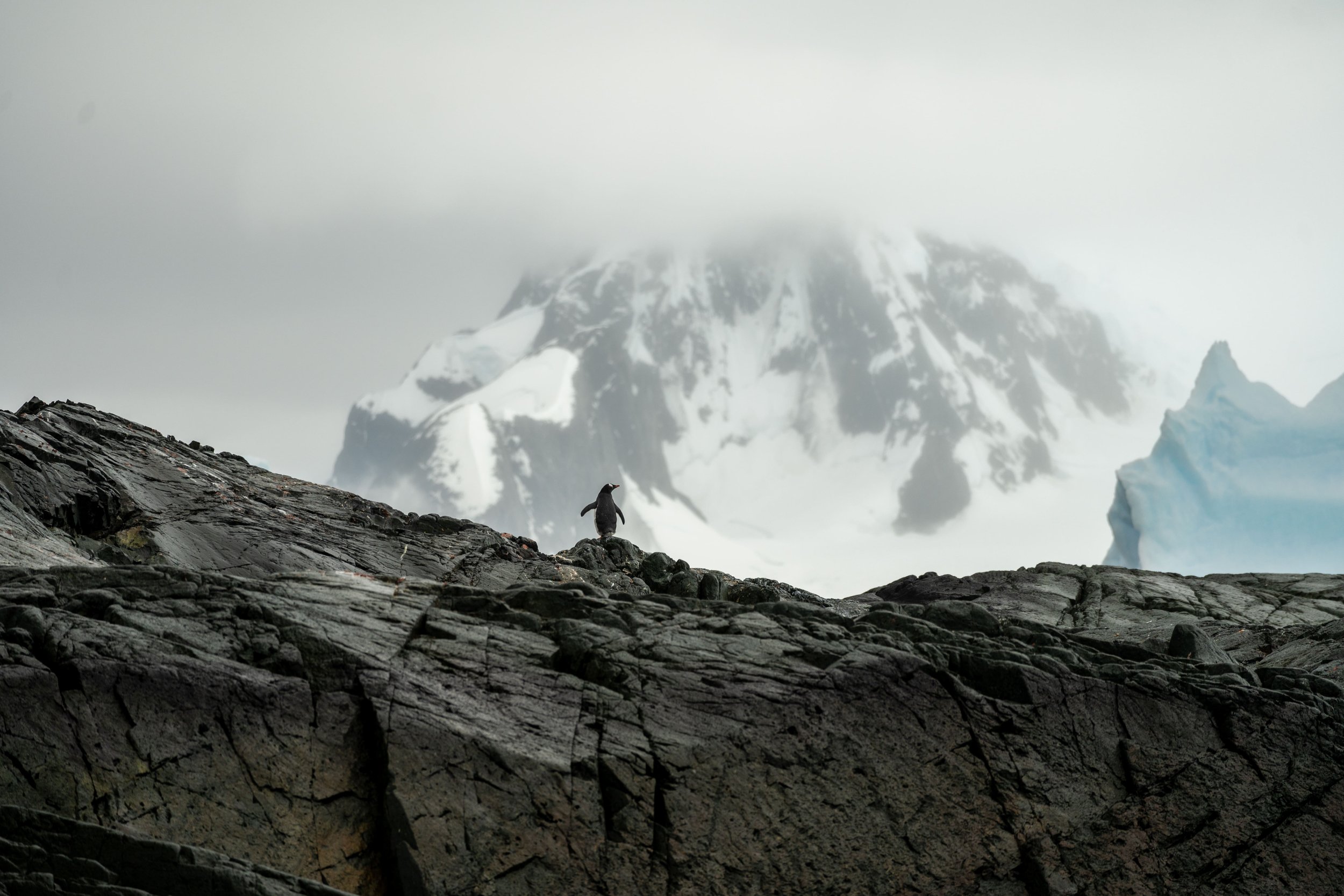 The White Continent: Antarctica