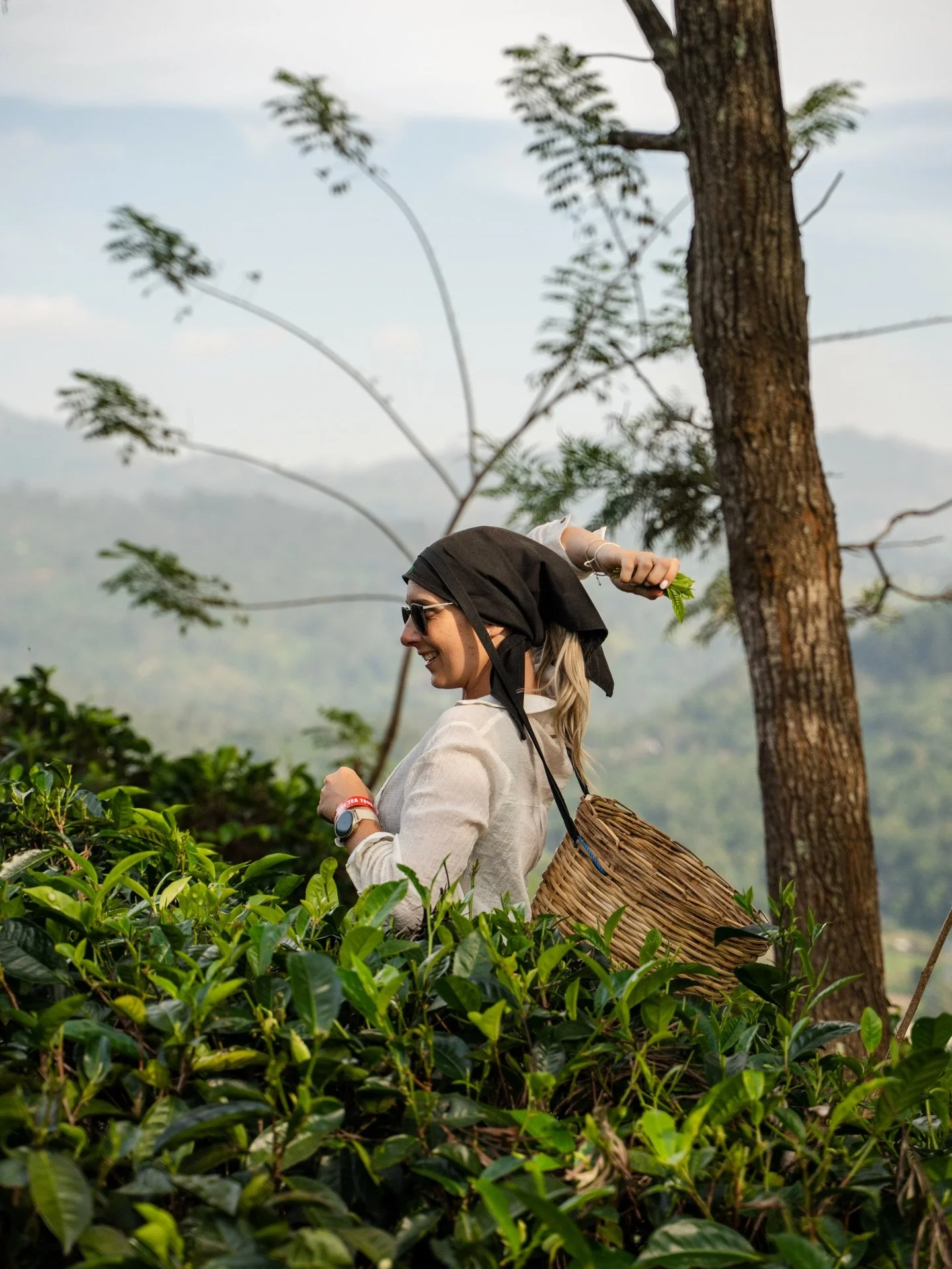 This seemed like the right spot to give tea a shot 🍃 

Fun afternoon @halpe_tea spent picking, crushing, sipping &amp; learning about the entire process from start to finish along with touring inside the factory 🫖 

#teafactory #srilanka #srilankat