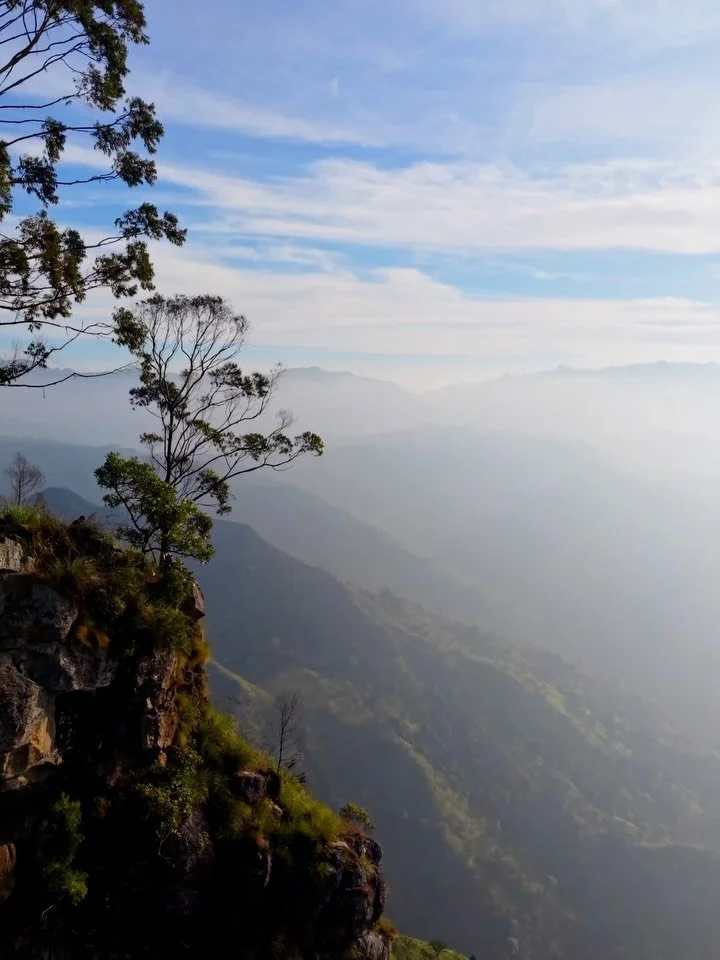 Up above the clouds ☁️ Ella Rock sunrise hike ⛰️ 

After winding through a few goat trails in the dark &amp; taking a wrong turn into someone&rsquo;s house, we still made it for sunrise! Watching the clouds roll through the valley with new mountain p
