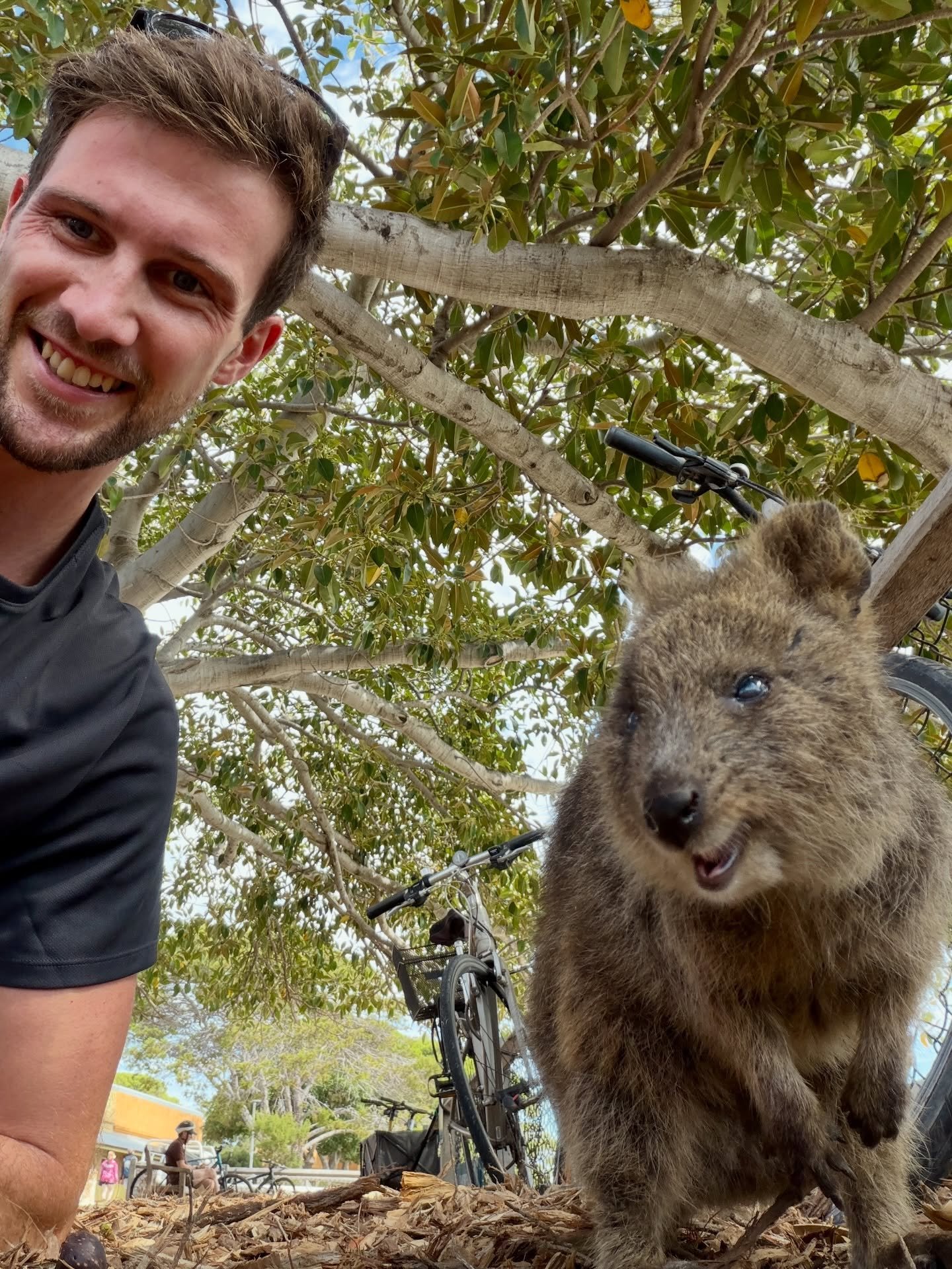 Postcards from Rottnest Island 🏝️ 

This place is what dreams are made of ✨ 

#Rottnest #RottnestIsland #Perth