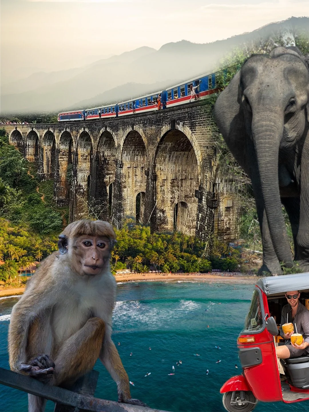 Trying to think of a reason not to move to Sri Lanka 🇱🇰 

This felt like several holidays in one with soooo many different spots changing day by day from mountains to surf 🌴 The one thing that stayed consistent, the roadside coconuts 🥥 

#SriLank