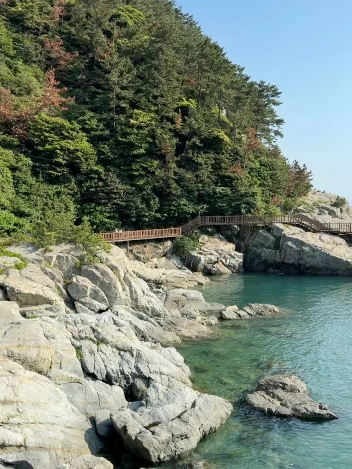 On Island Time in Geoje 🏝️ 

South Korea is full of surprises but none more than this little island down the far South of the country. Abandoned villages, epic hikes through the National Parks, endless boardwalks &amp; views across to Japan!

#geoje
