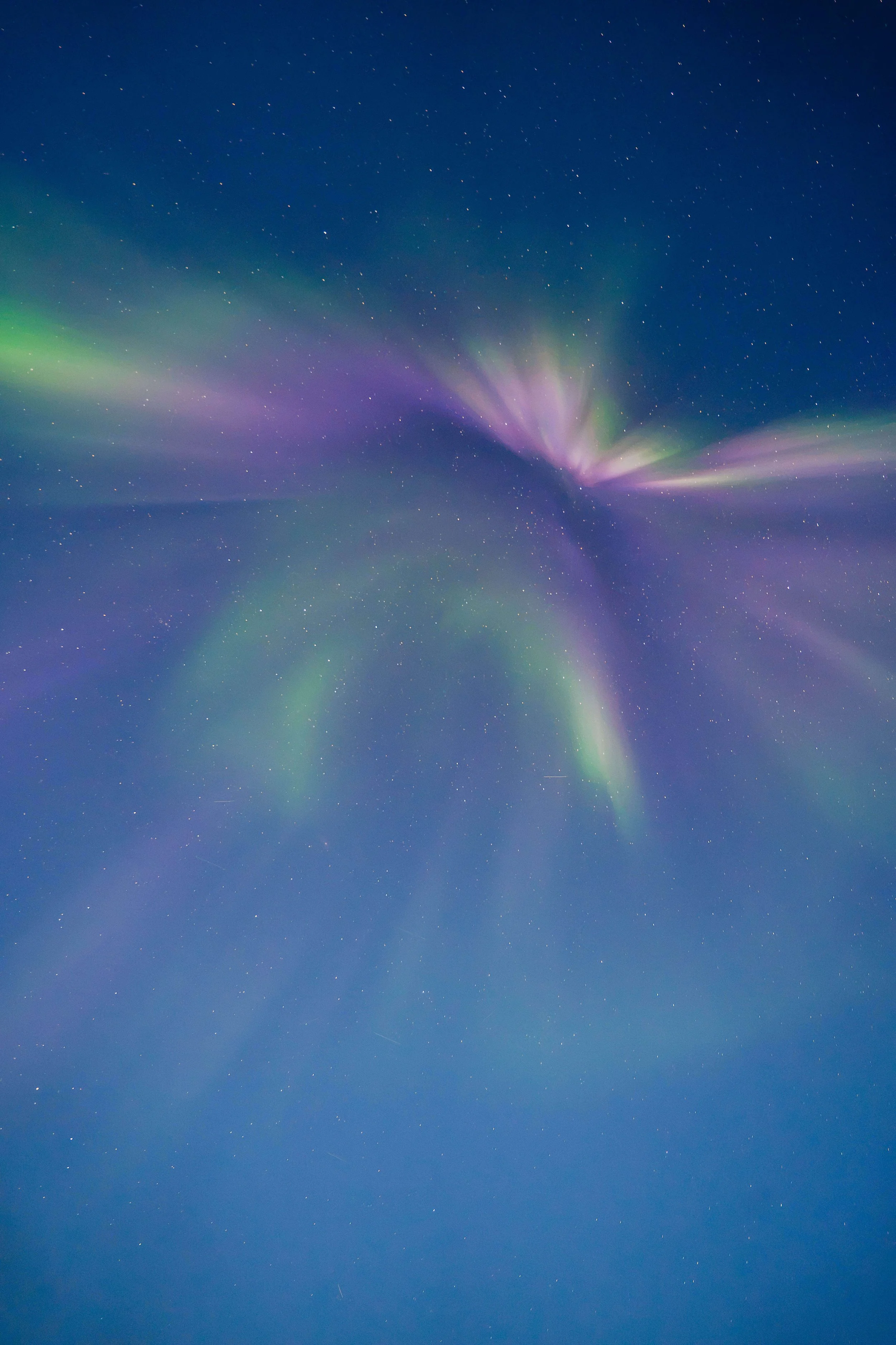 Atlas Arctic Cruise 149.jpg