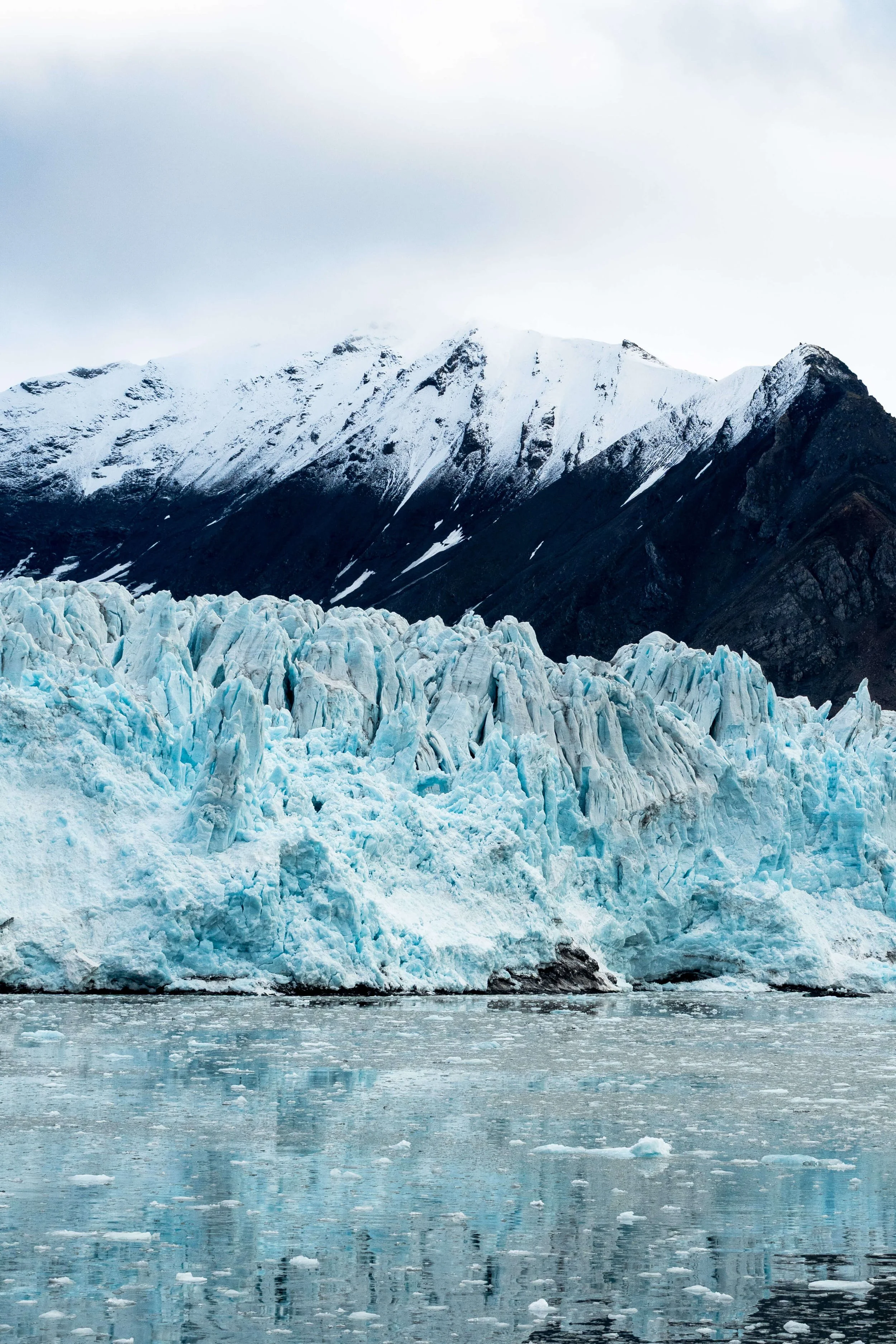 Atlas Arctic Cruise 561.jpg