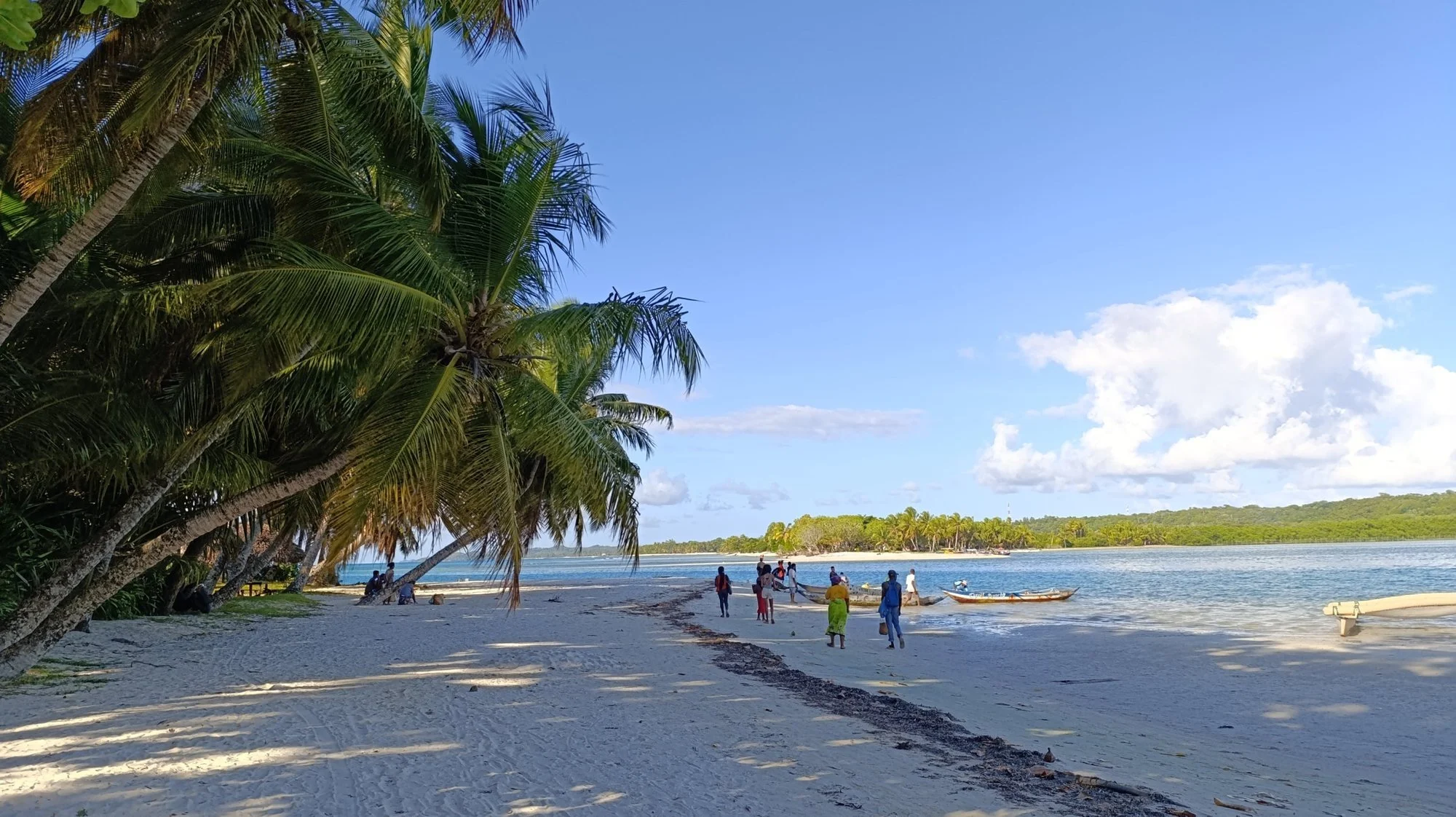 Plage de l'Île aux Nattes sous les cocotiers
