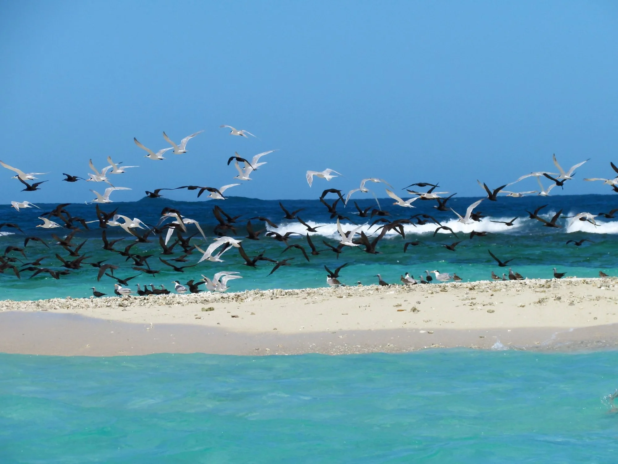 Îlot de sable blanc au milieu du lagon de Sainte-Marie