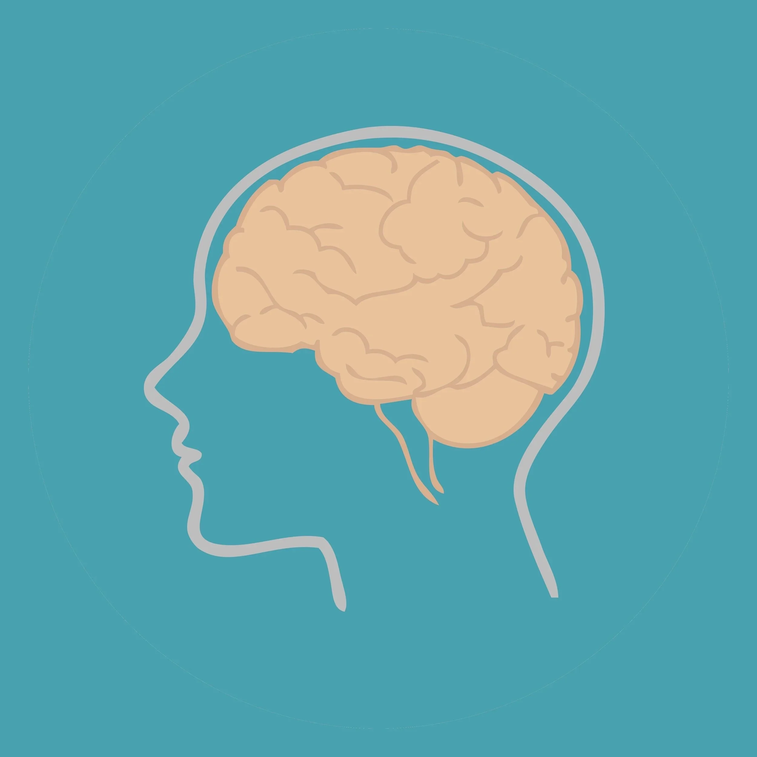 Brainkind and the Brain Injury Linkworker Service