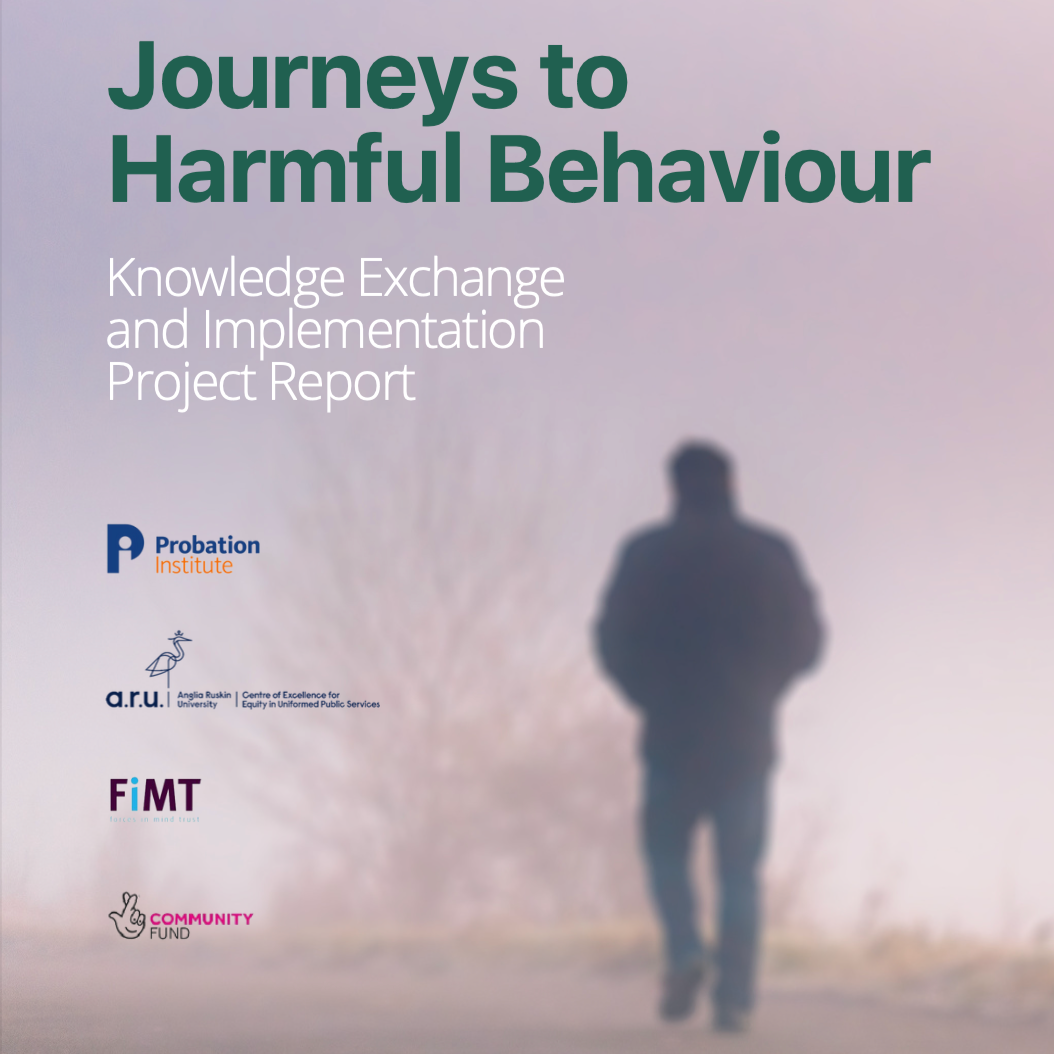 Journeys to Harmful Behaviour: Implementation Report