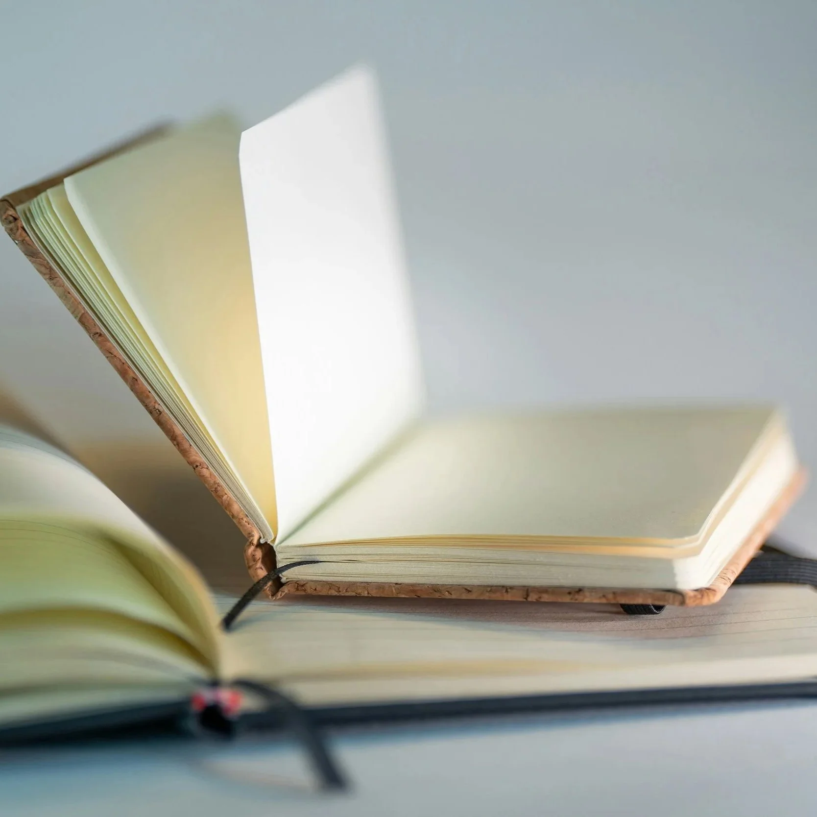 Understanding barriers to early termination of community orders for good progress