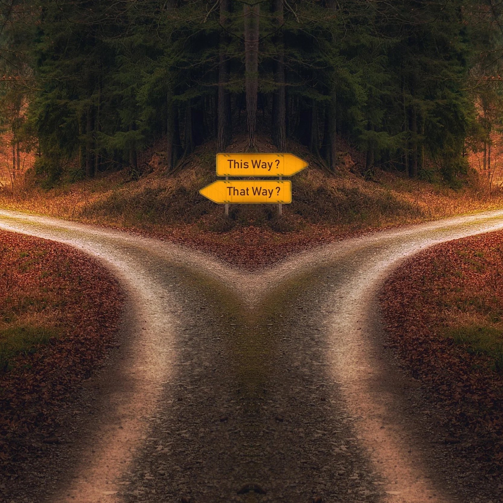 Too Much Risk, Not Enough Change? Probation at a Crossroad