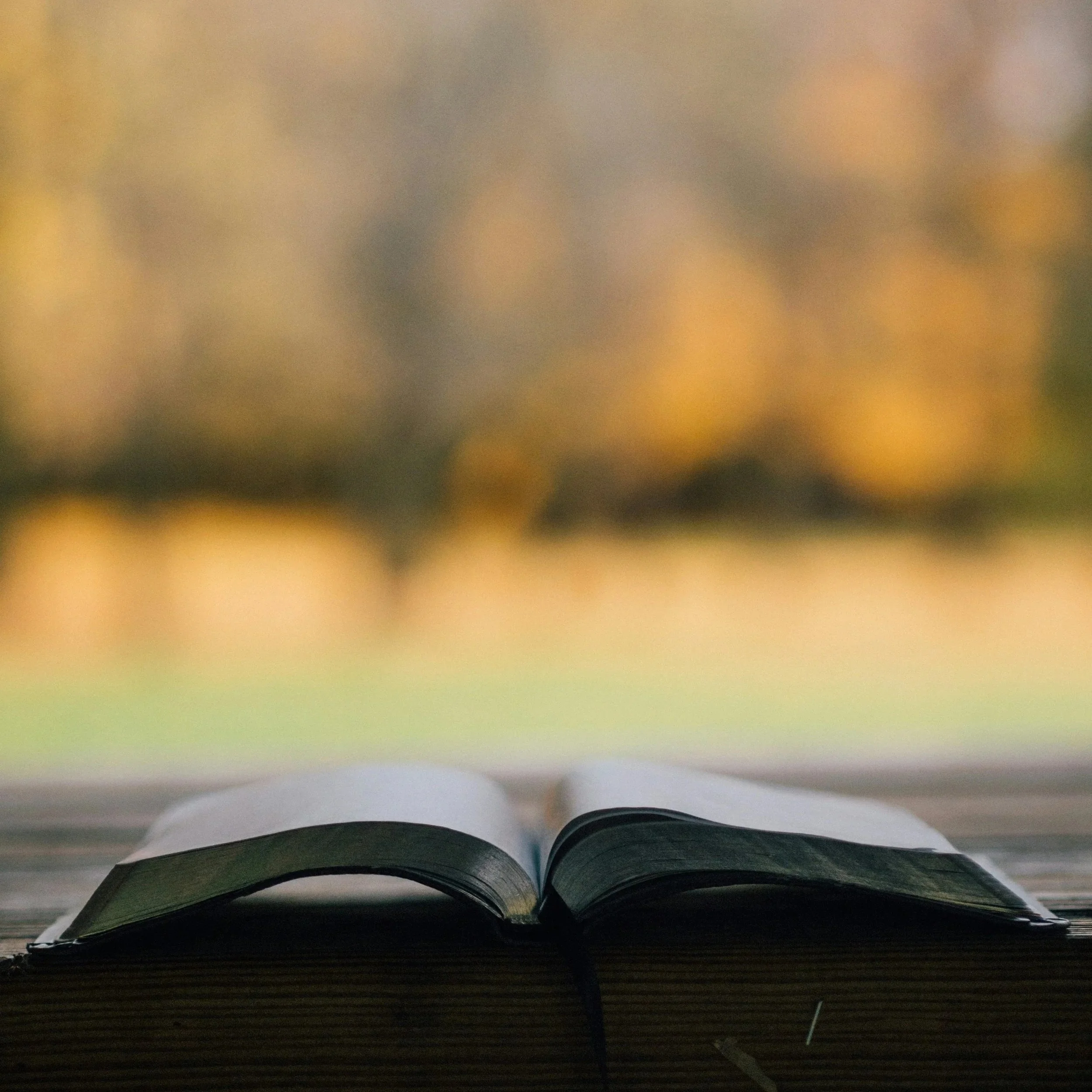 Book Review: Supervising Offenders in the Community: A History of Probation Theory and Practice 