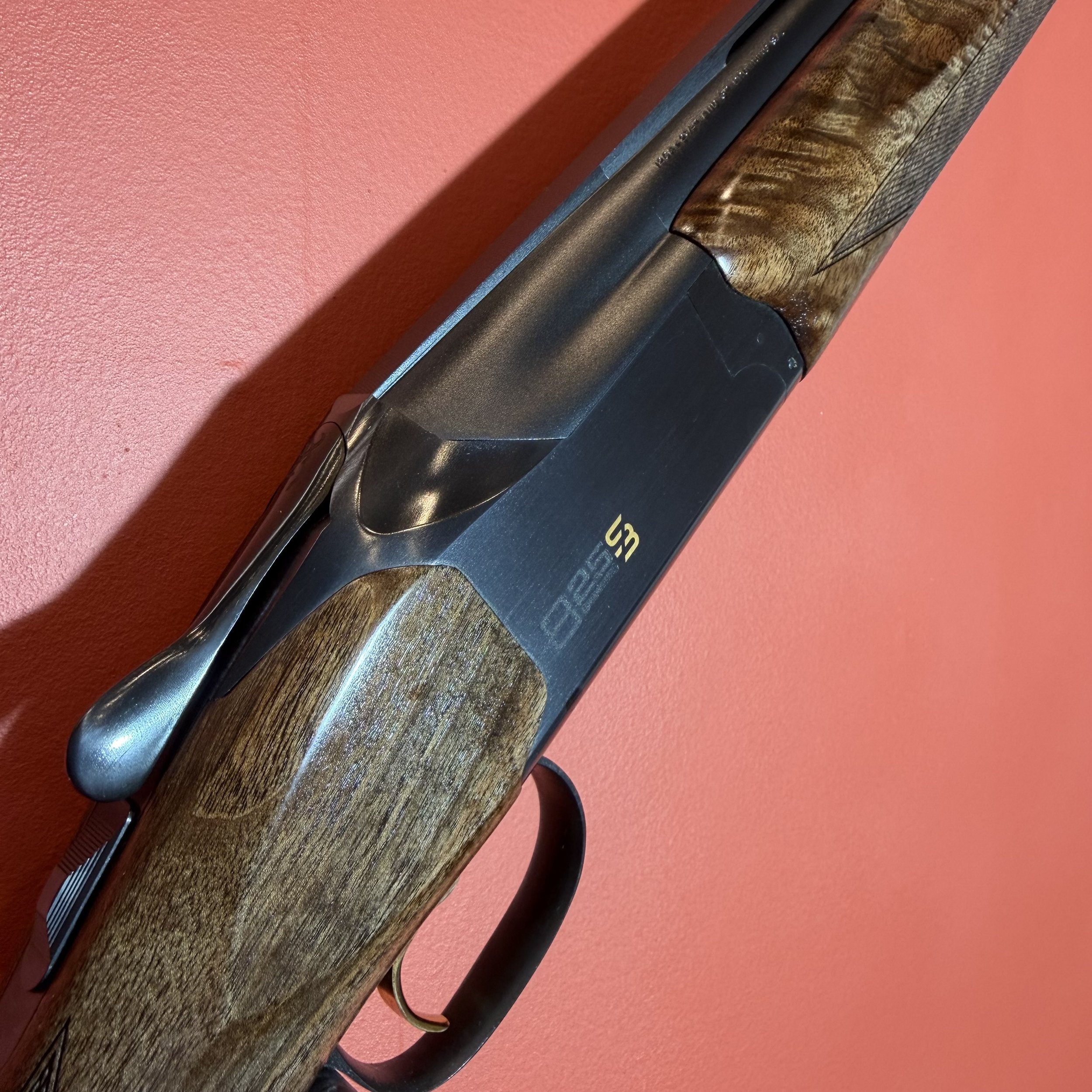 Photo 24-02-26 09 04 35.jpg