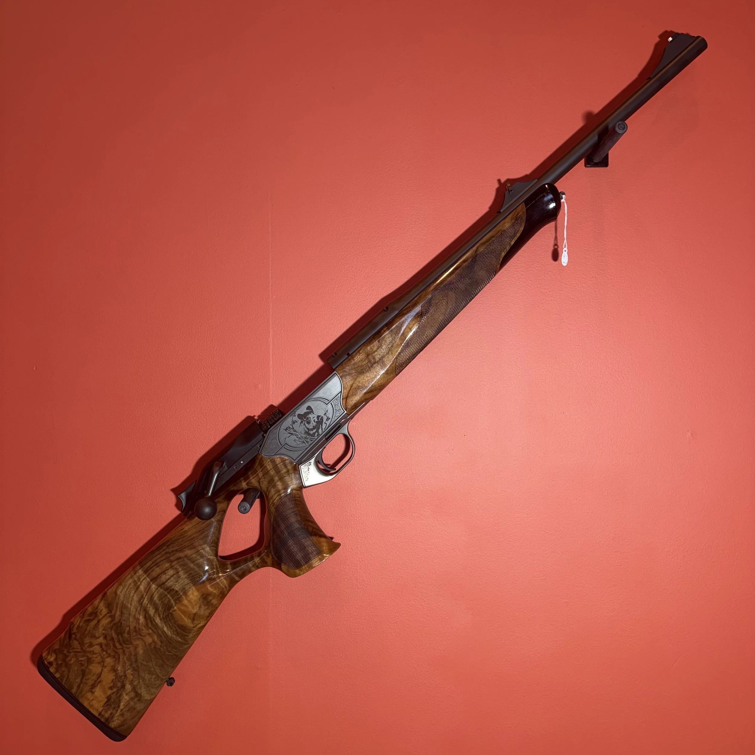 Photo 25-02-26 16 09 55.jpg