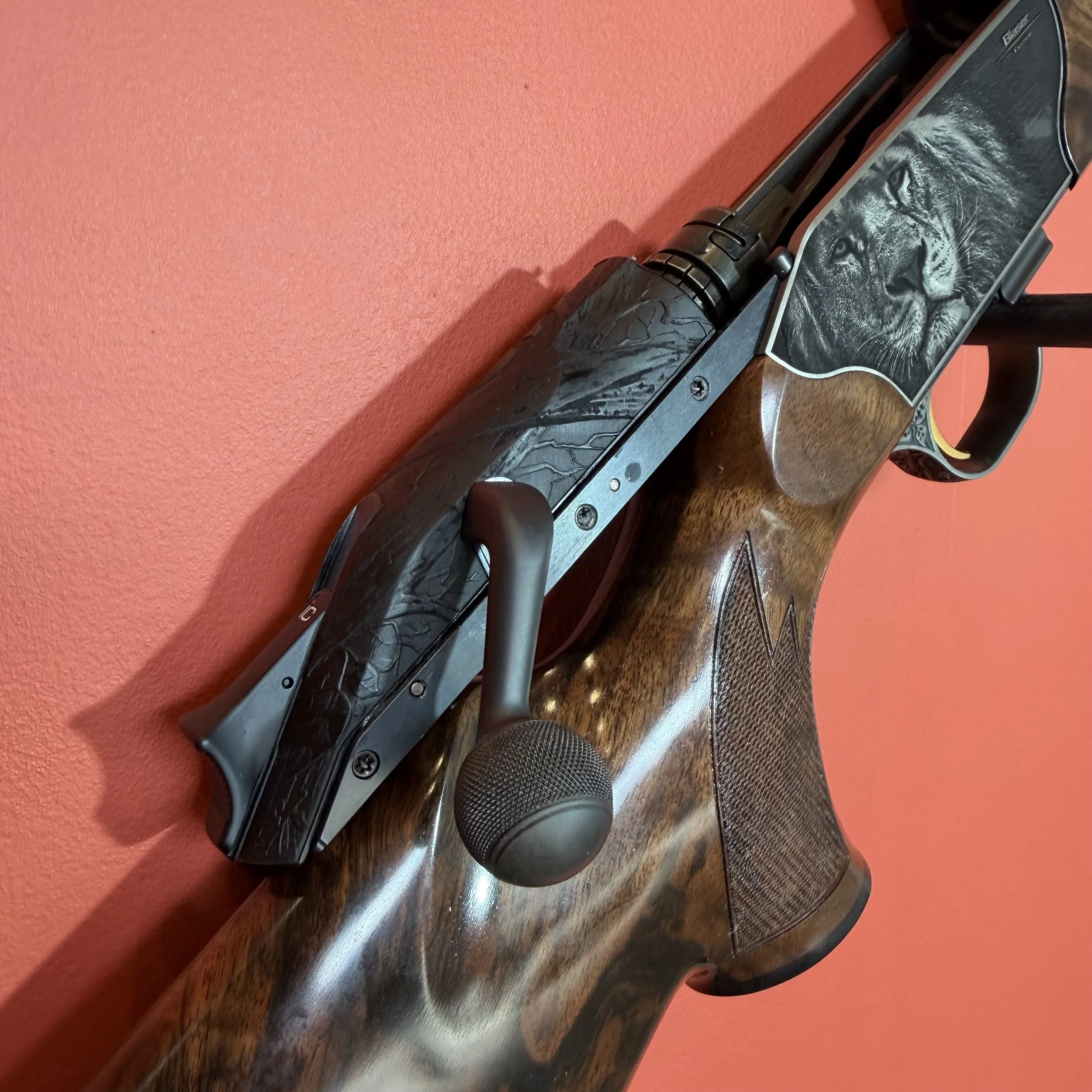 Photo 18-02-26 12 20 51.jpg